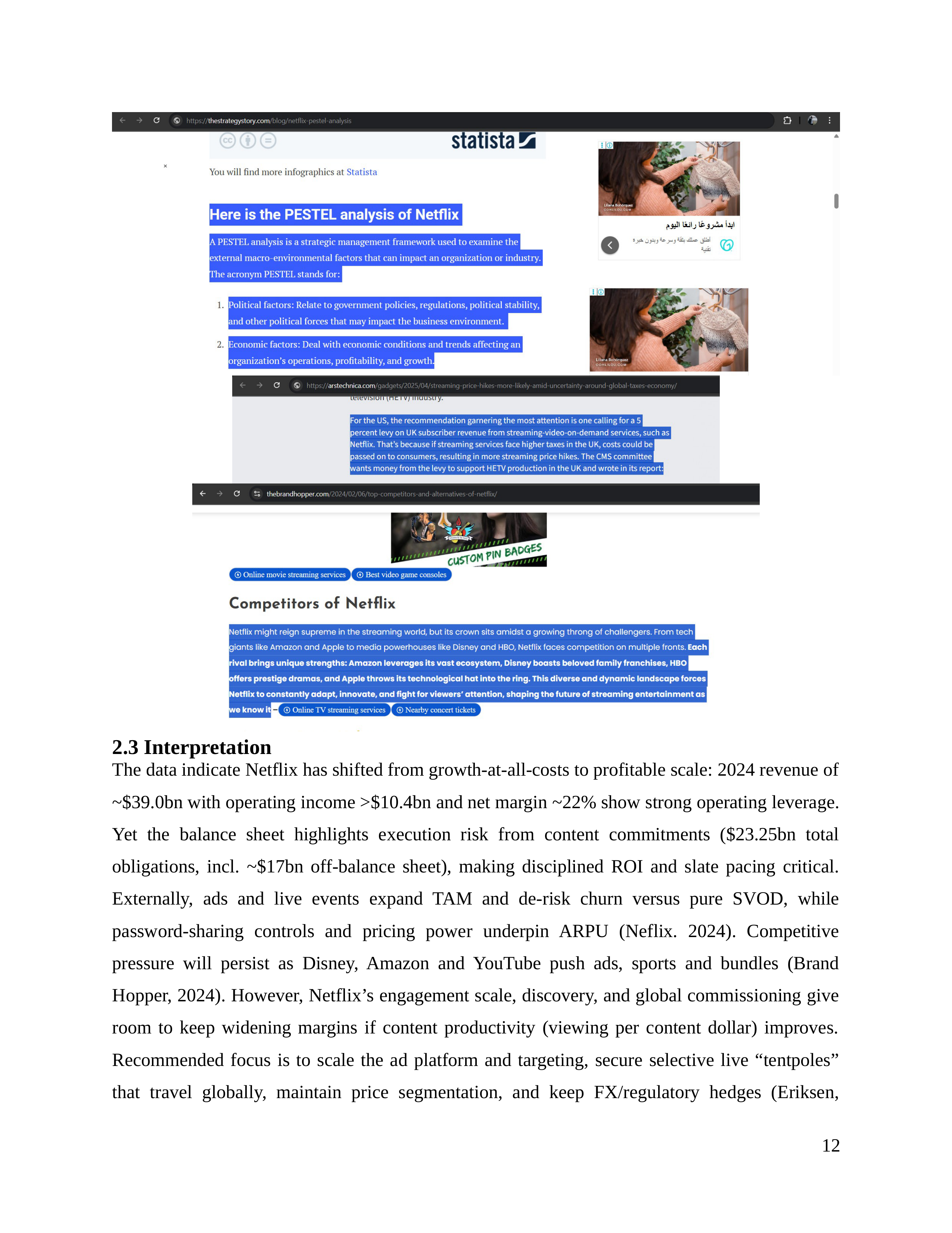 Netflix Business Plan  — page 13