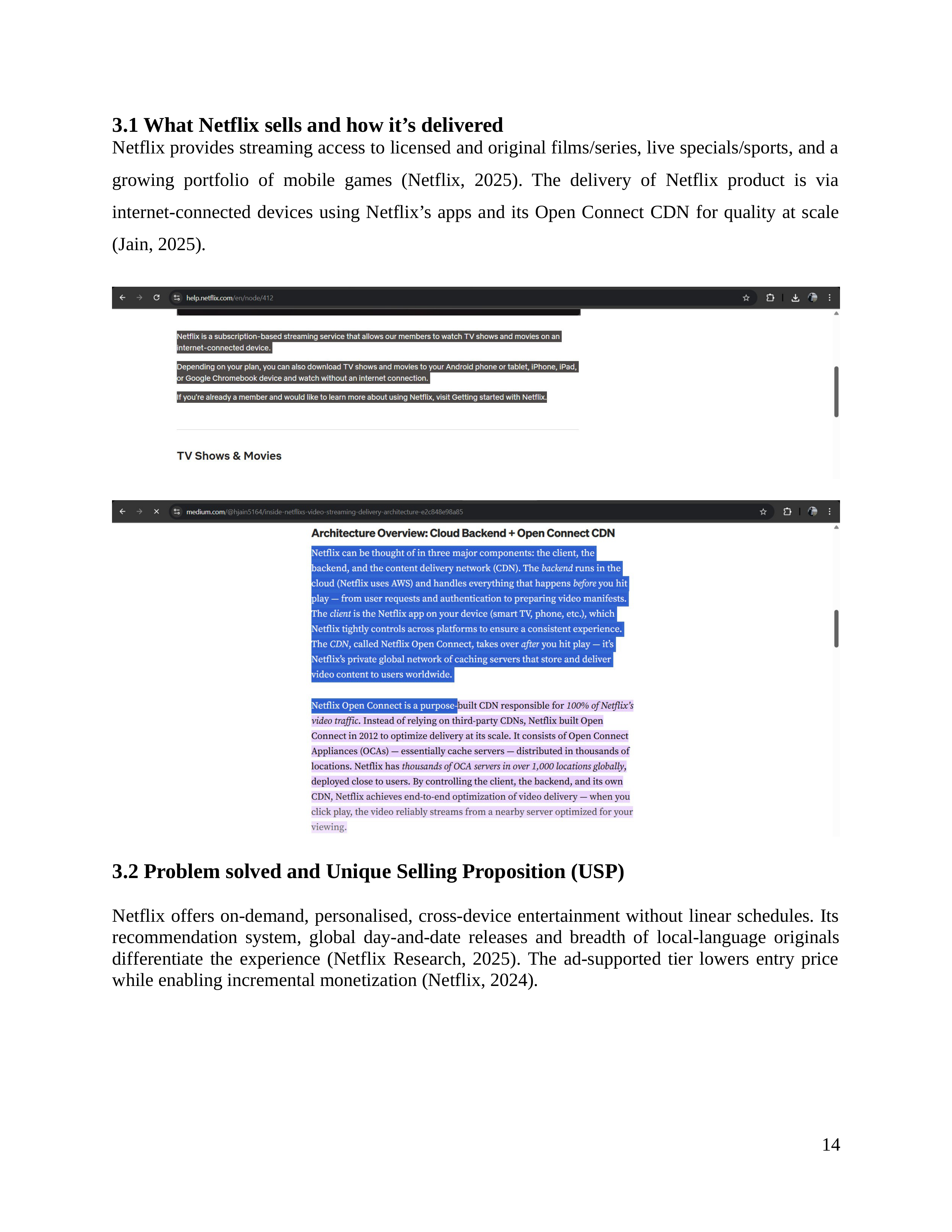 Netflix Business Plan  — page 15