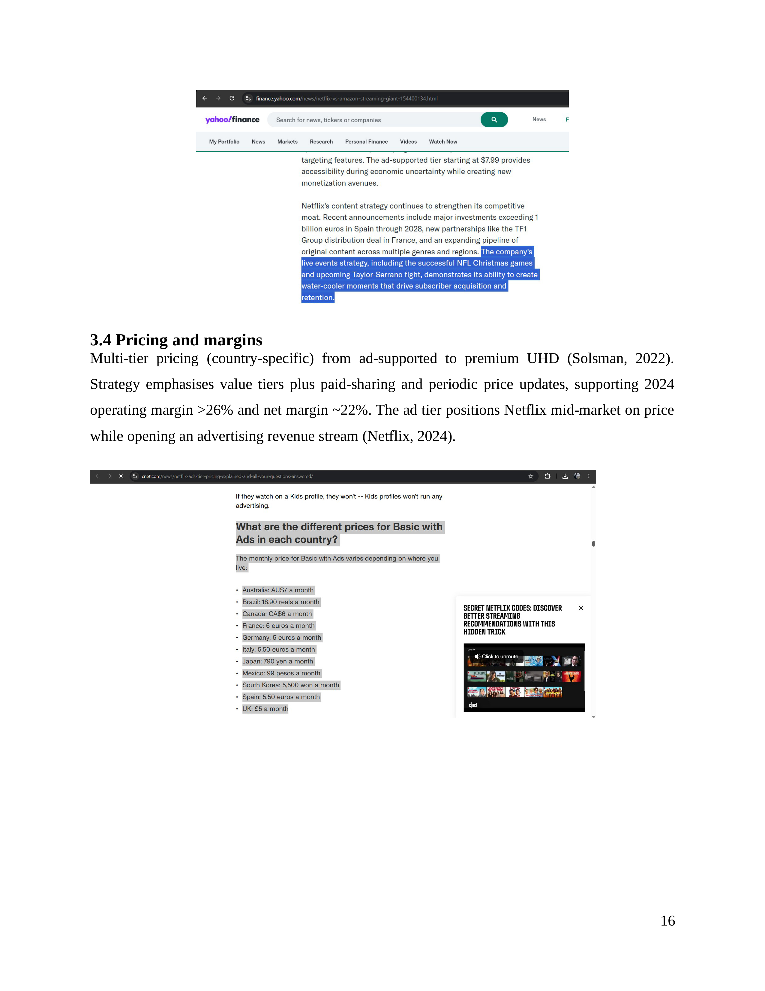 Netflix Business Plan  — page 17