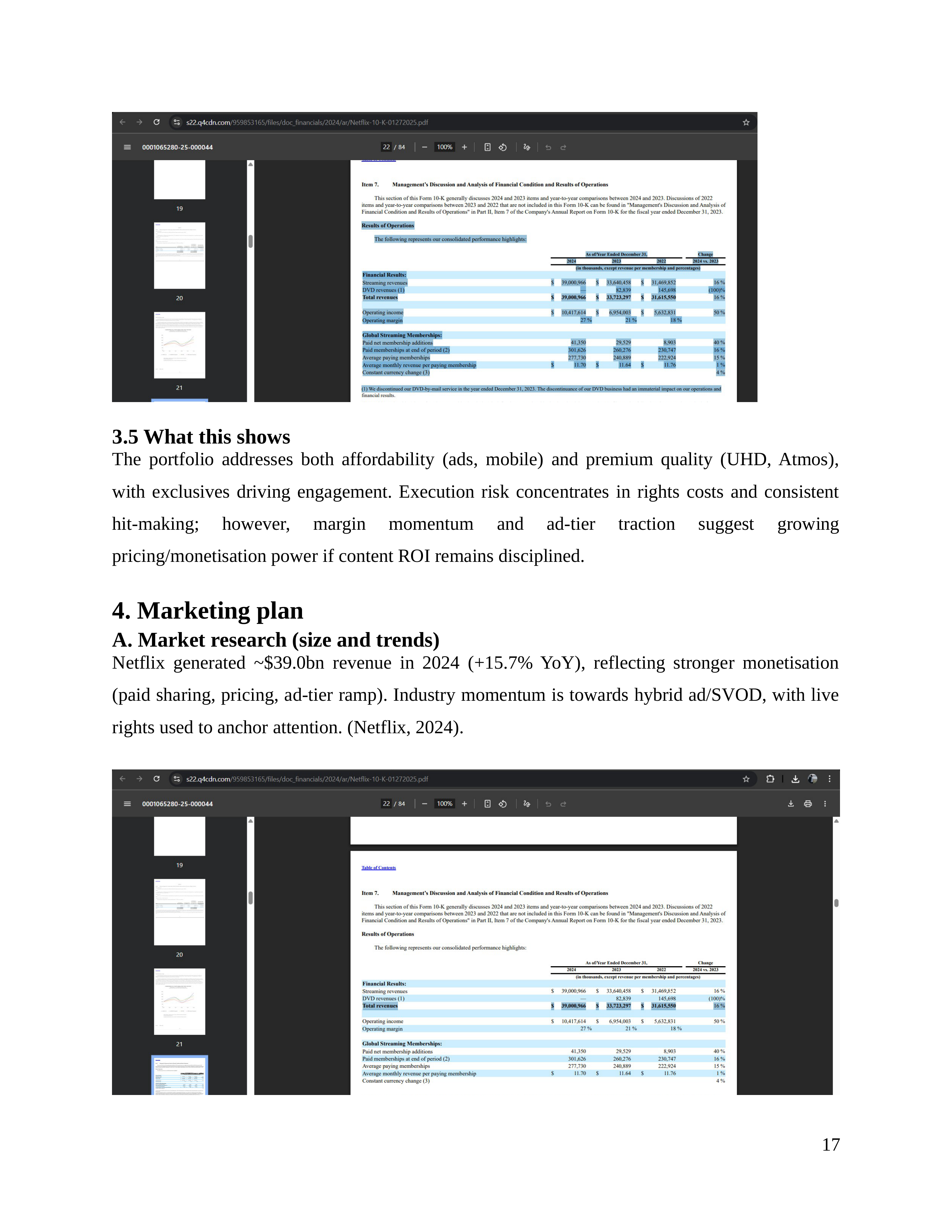 Netflix Business Plan  — page 18