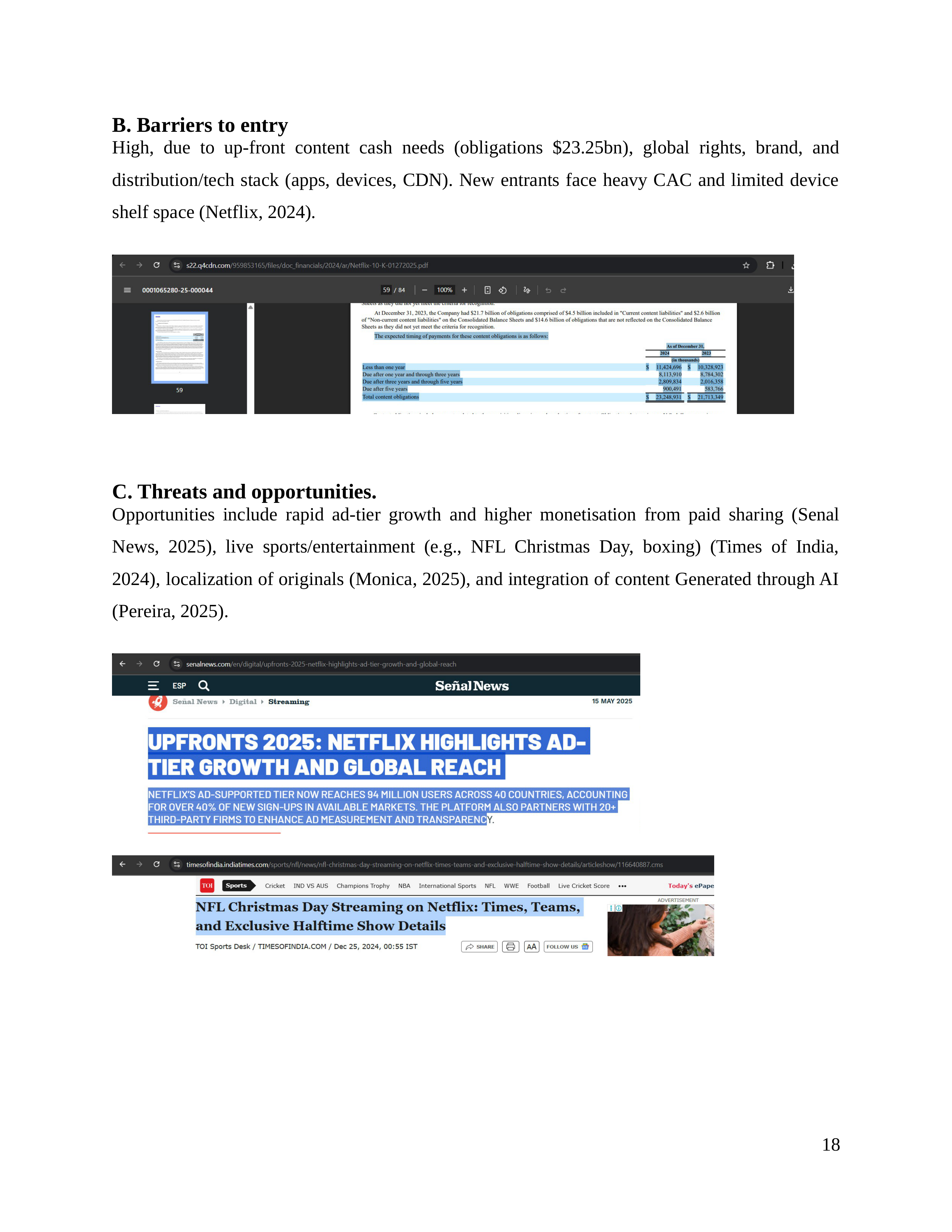 Netflix Business Plan  — page 19