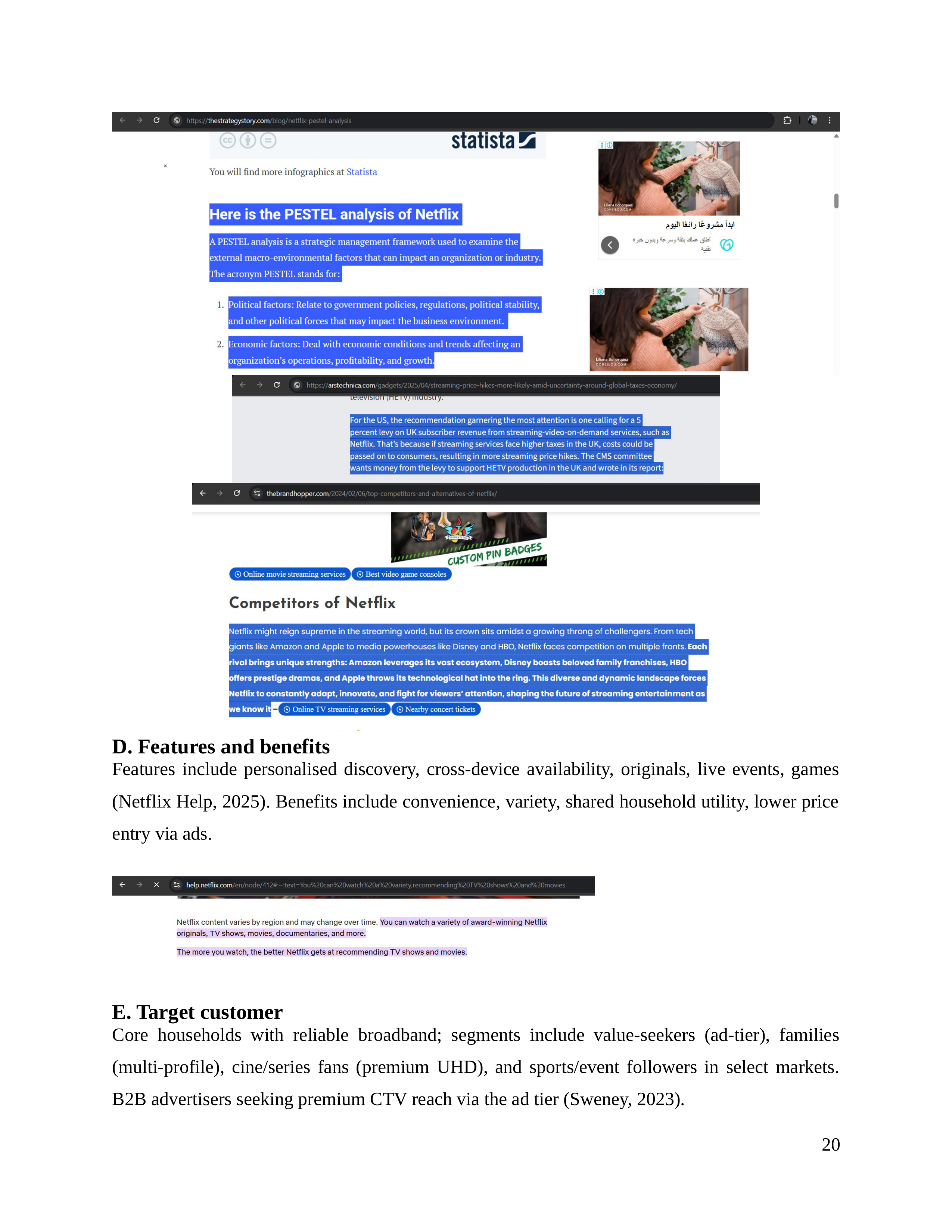 Netflix Business Plan  — page 21