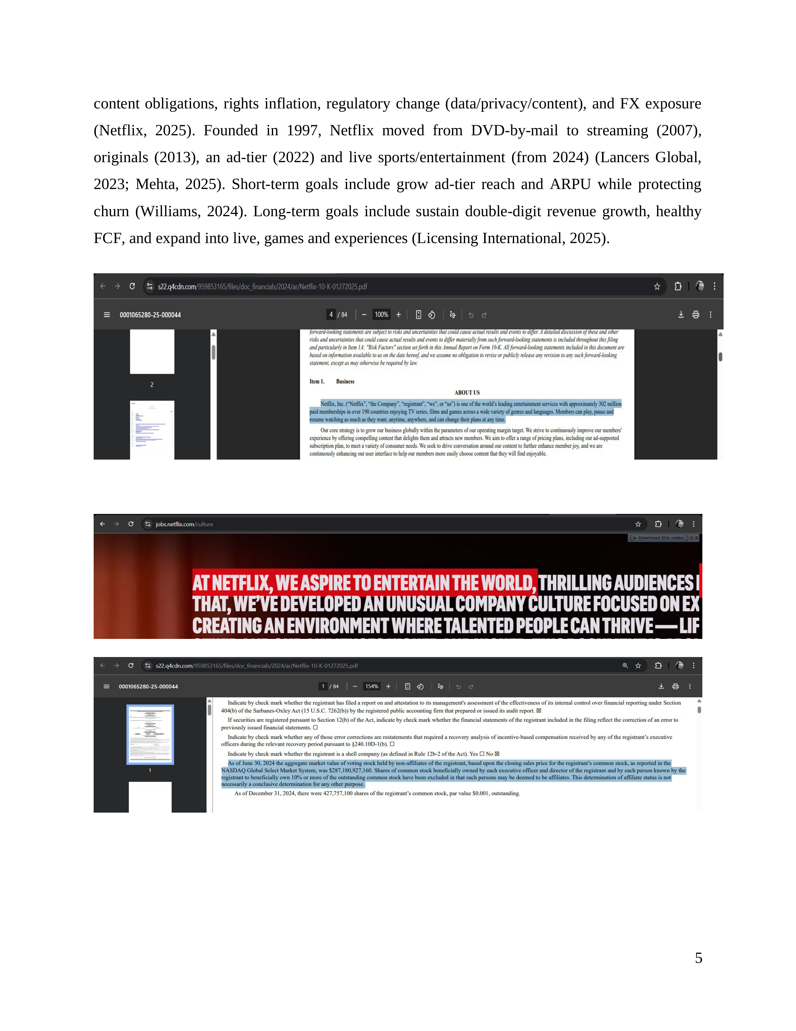Netflix Business Plan  — page 6