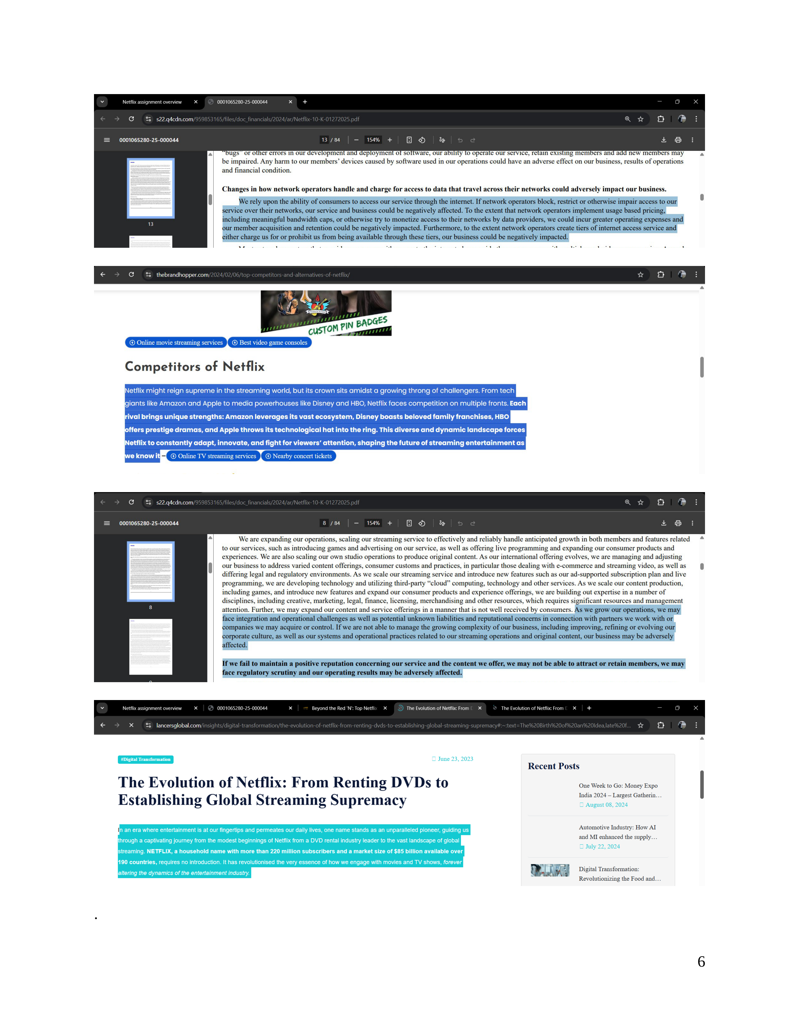 Netflix Business Plan  — page 7