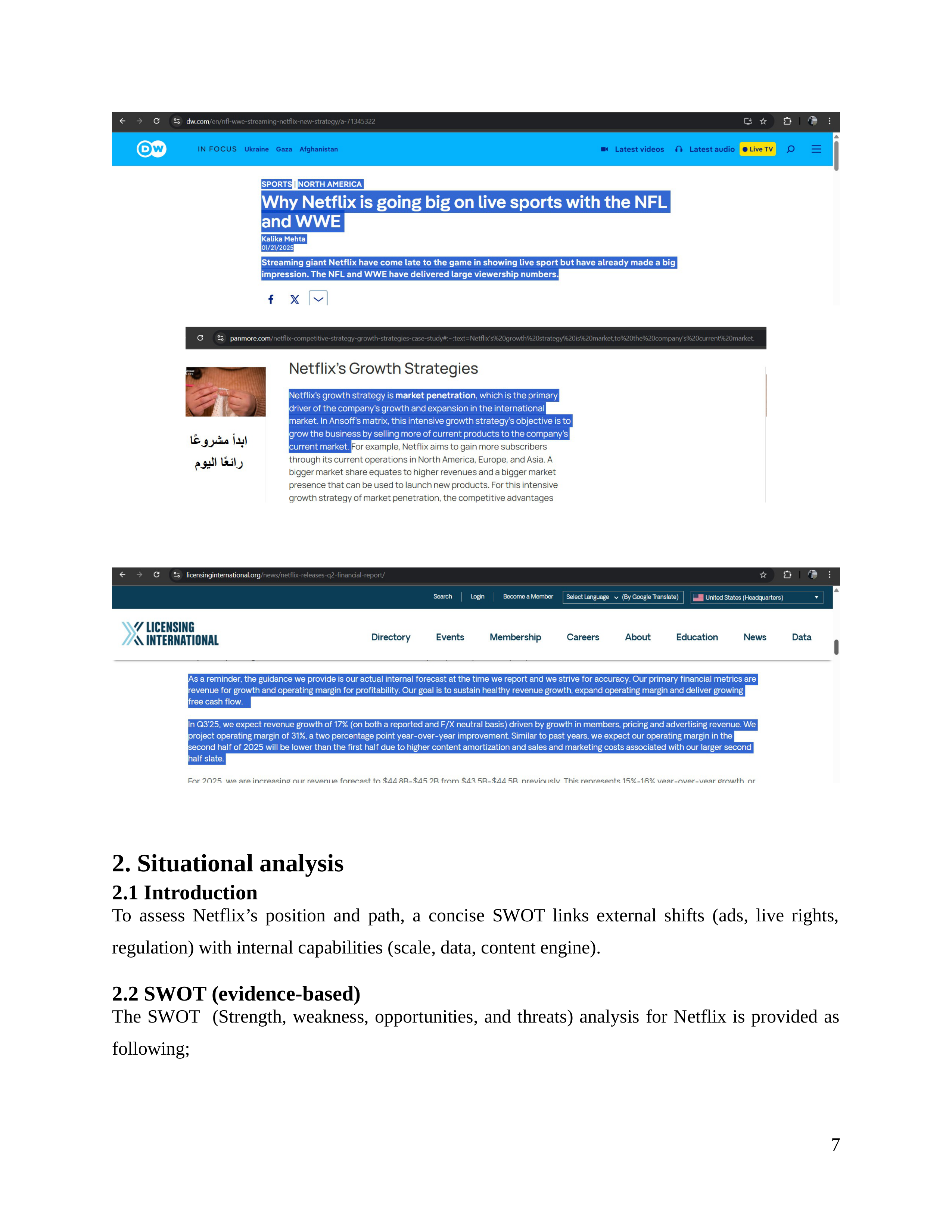Netflix Business Plan  — page 8