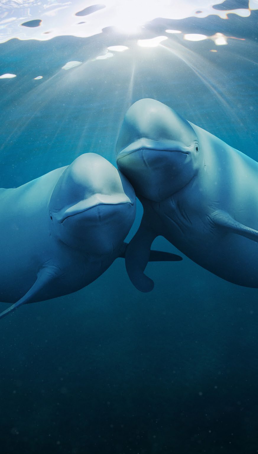 Page 17 Image 5