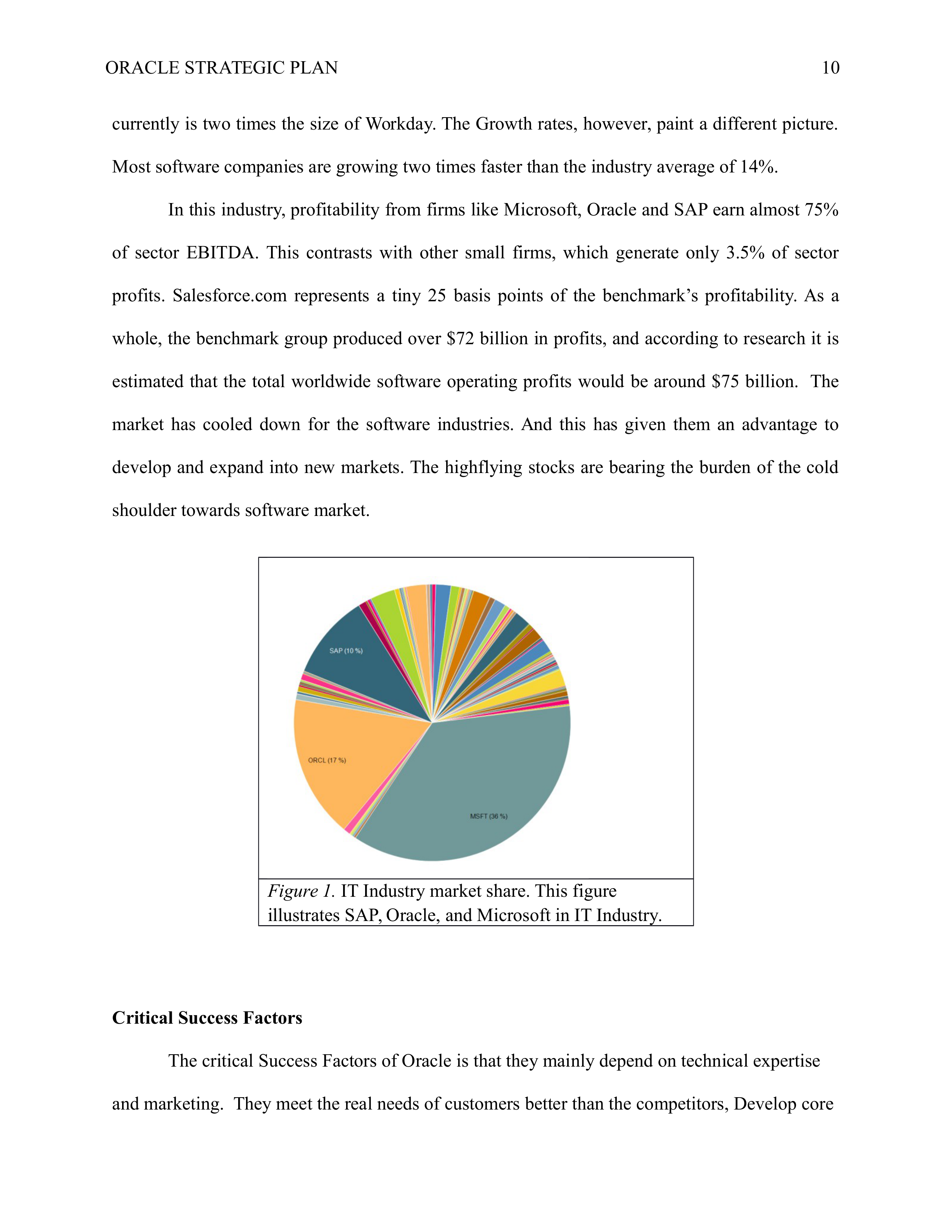 Oracle Business Plan  — page 10