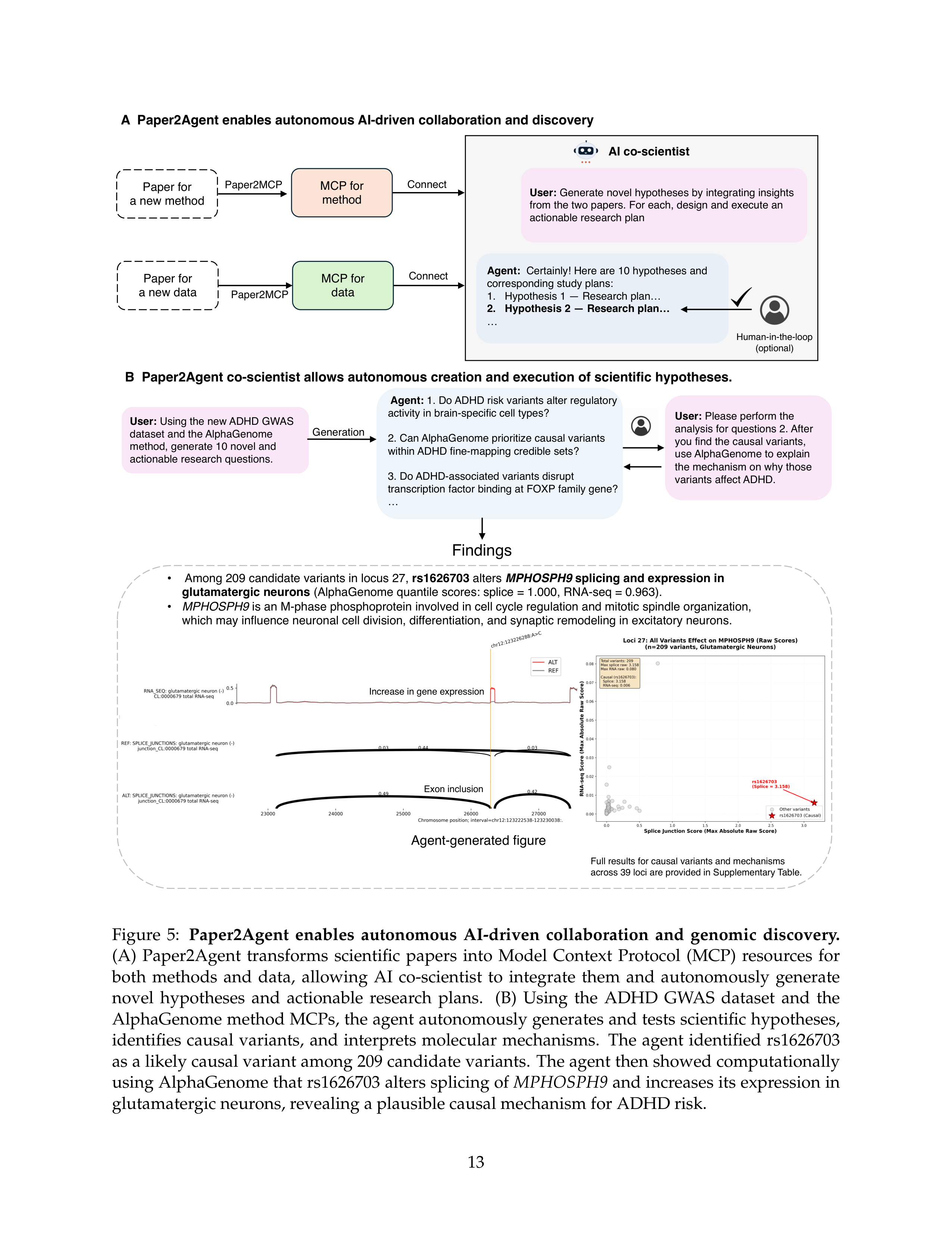 Paper2Agent AI Agent for Research Paper Automation — page 13
