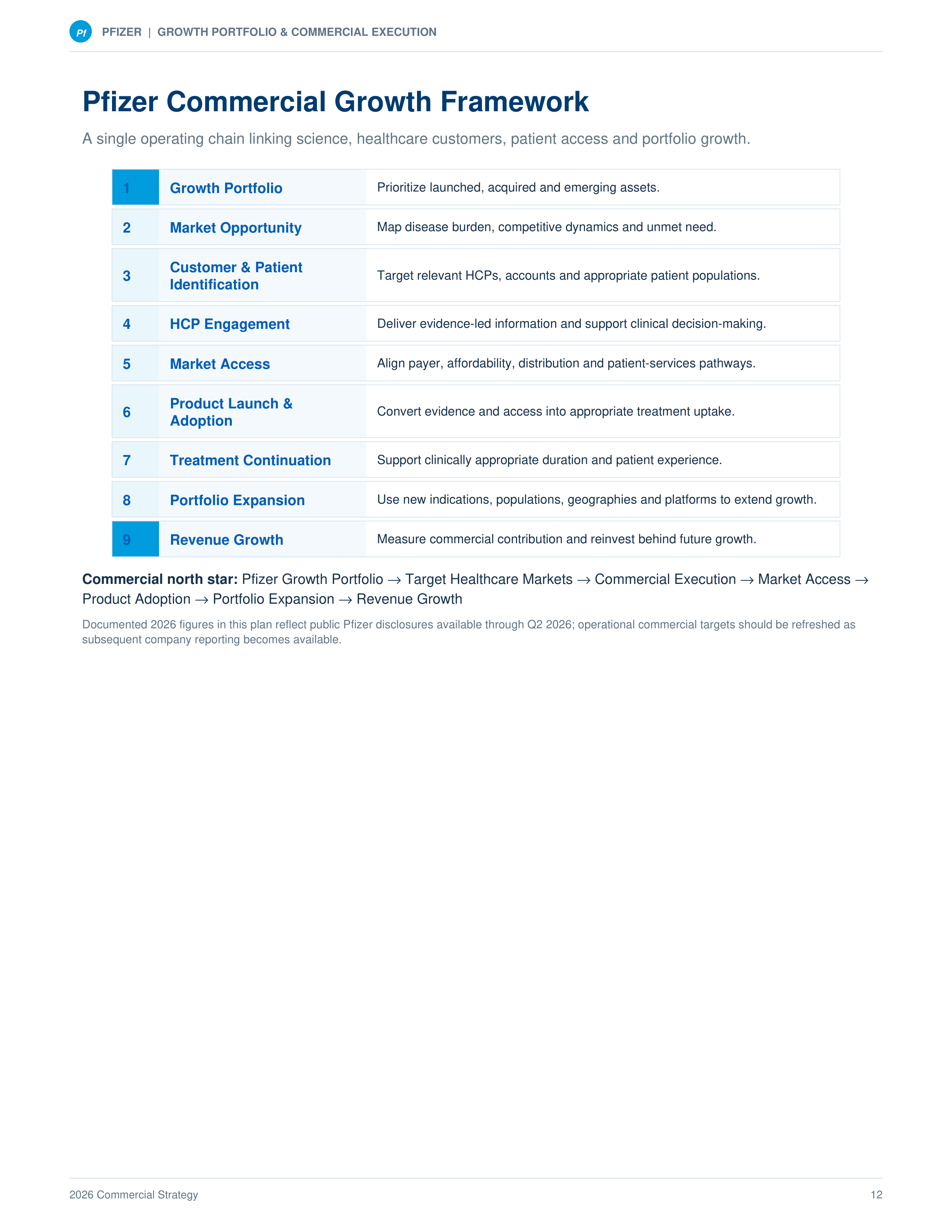 Pfizer Growth Portfolio & Commercial Execution Sales Plan — page 12