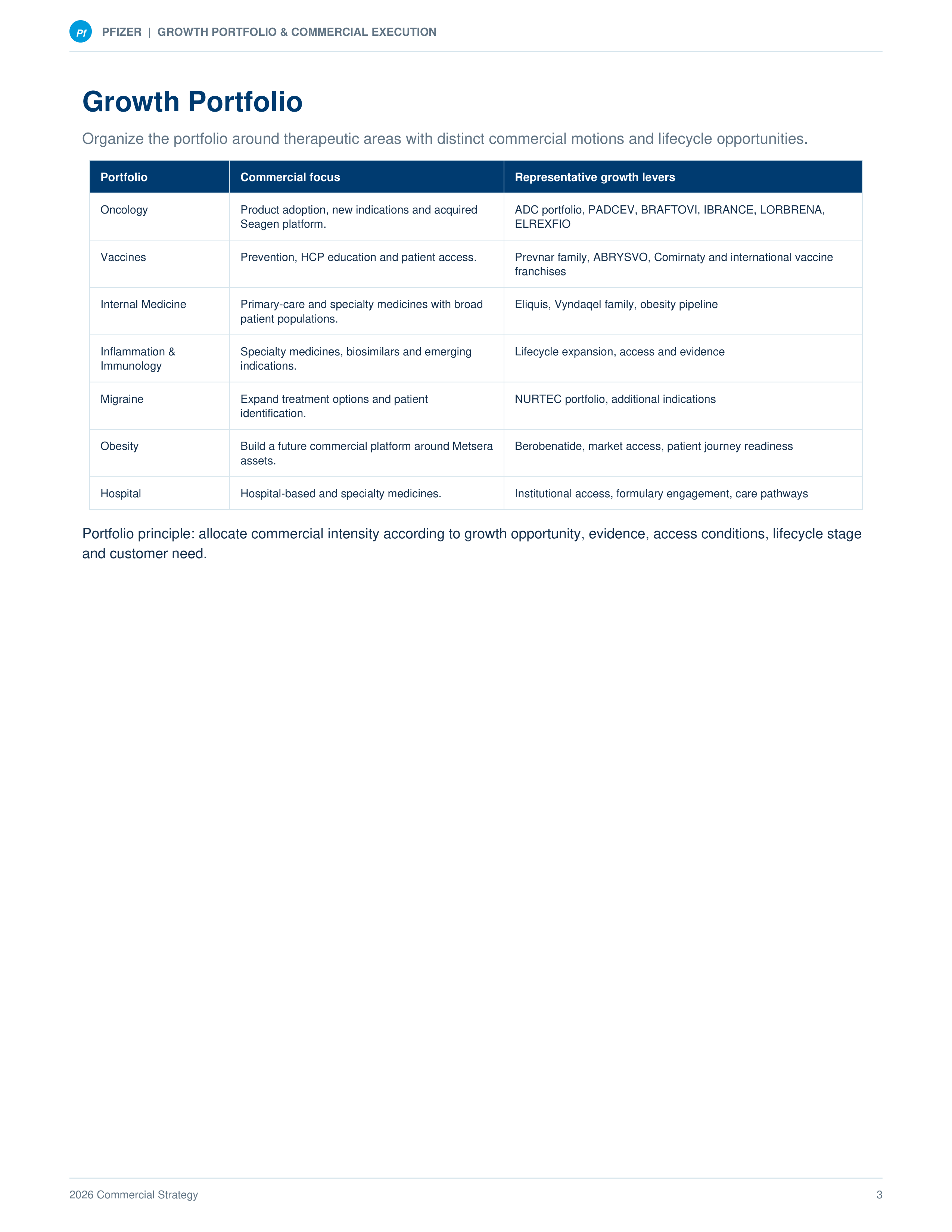 Pfizer Growth Portfolio & Commercial Execution Sales Plan — page 3