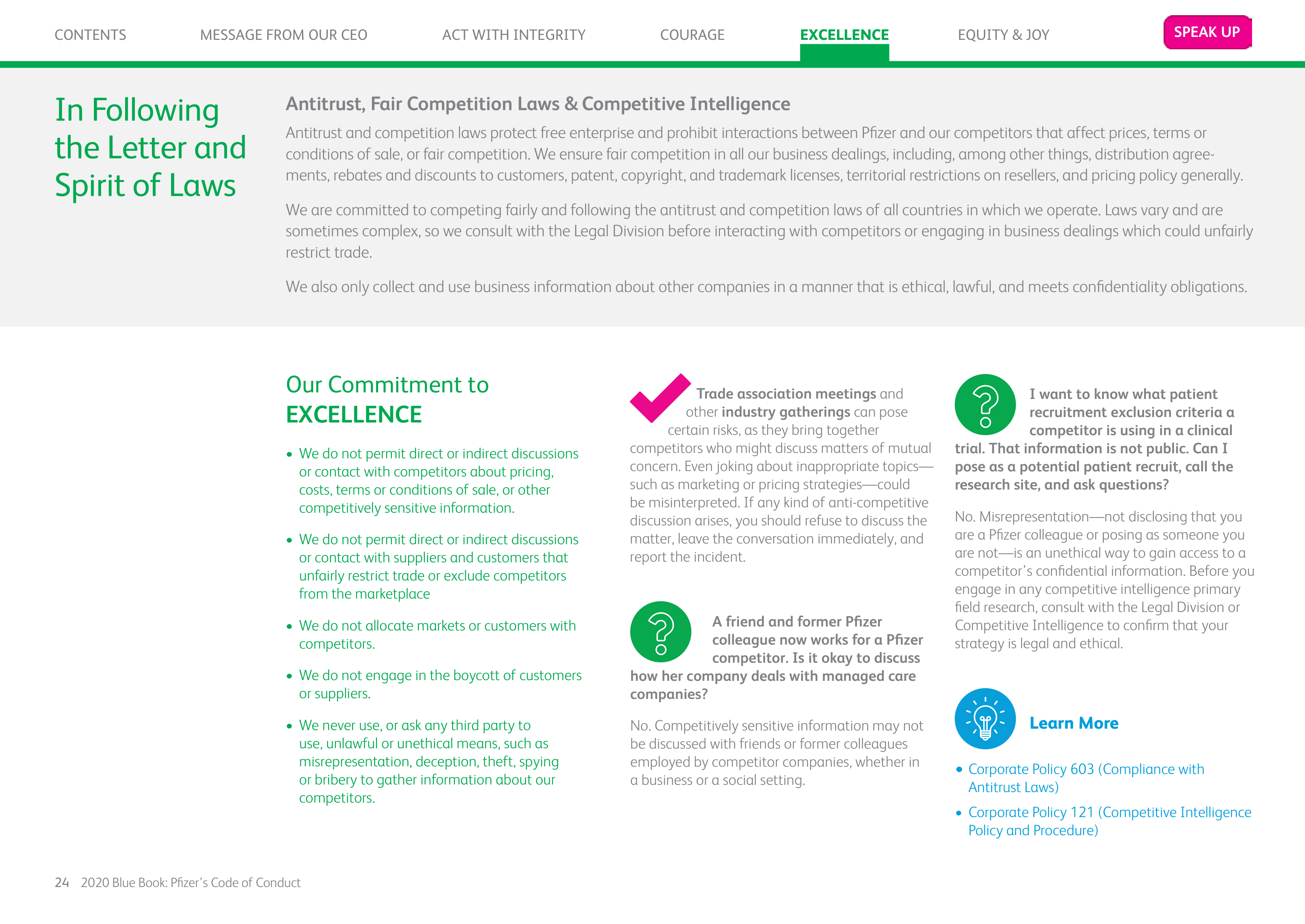Pfizer Inc. Blue Book Code of Conduct Handbook — page 24