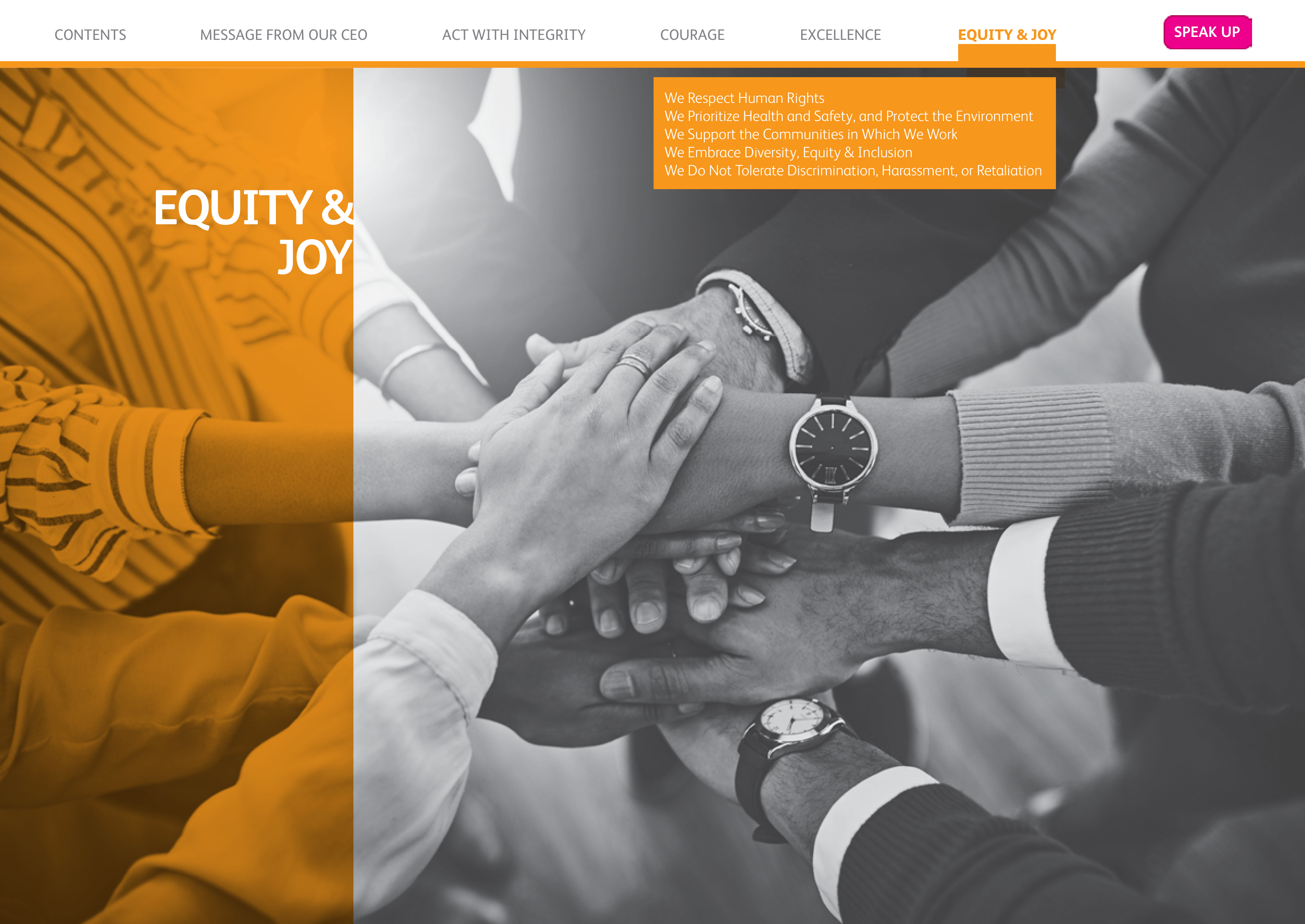 Pfizer Inc. Blue Book Code of Conduct Handbook — page 26