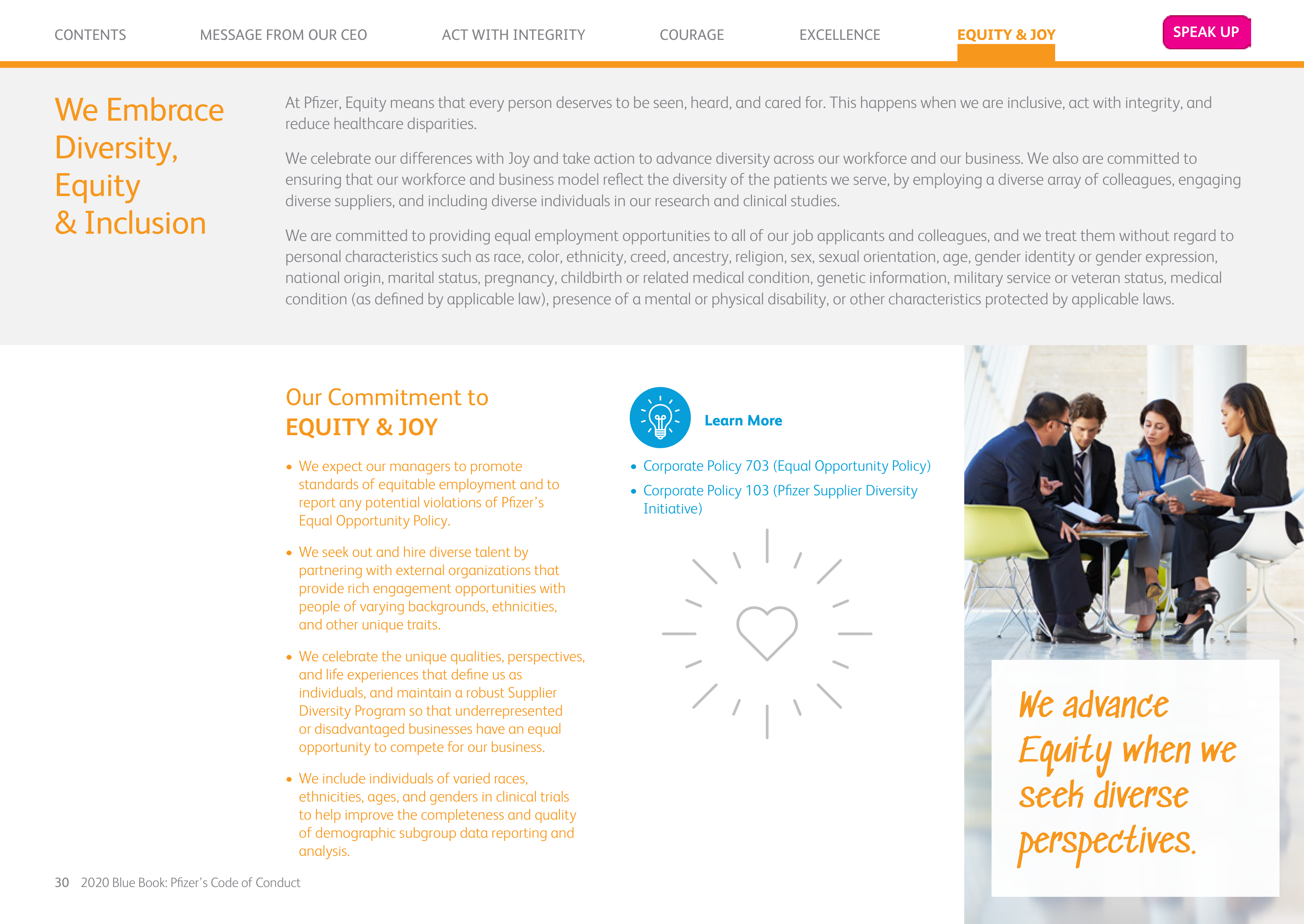 Pfizer Inc. Blue Book Code of Conduct Handbook — page 30