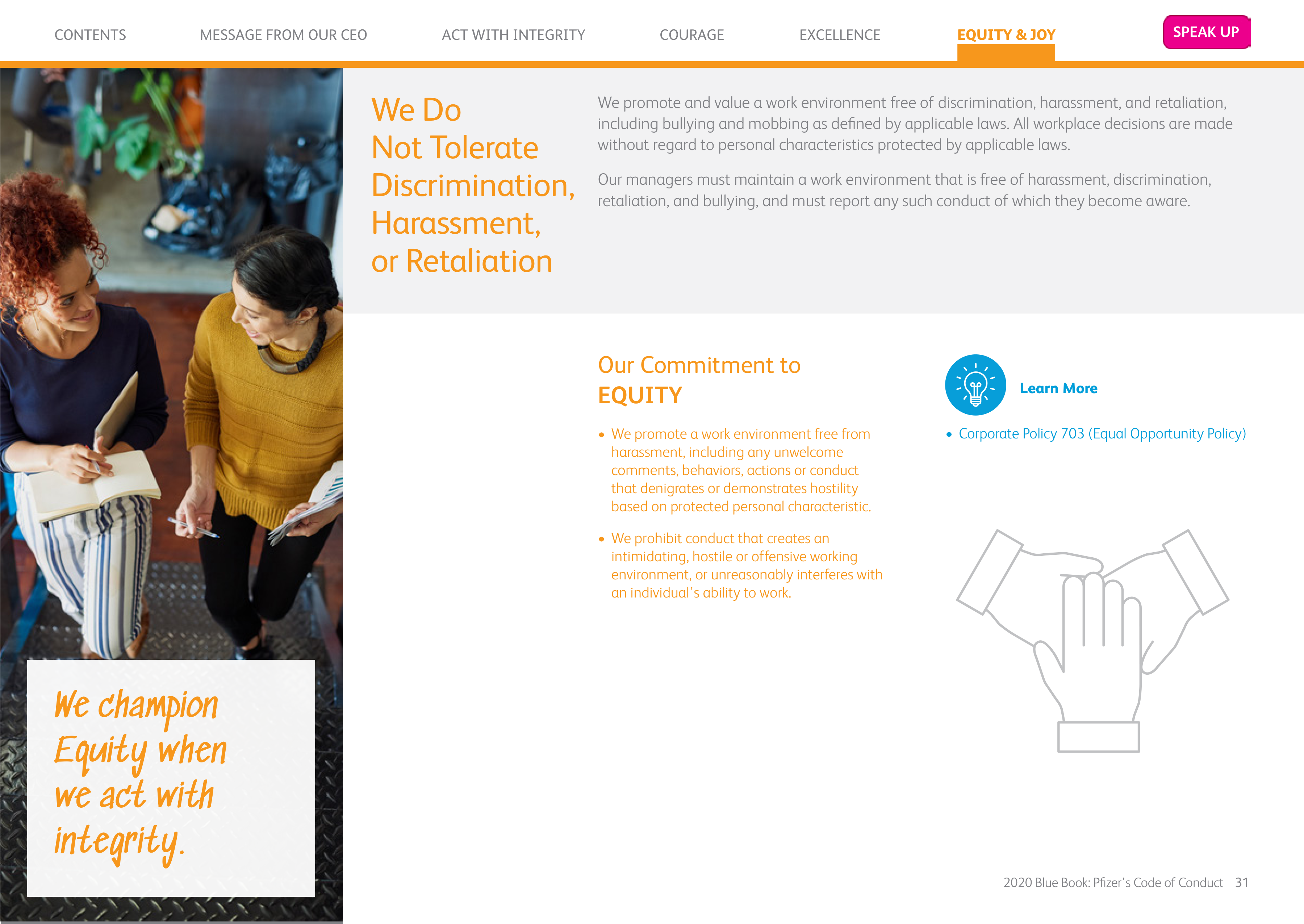 Pfizer Inc. Blue Book Code of Conduct Handbook — page 31