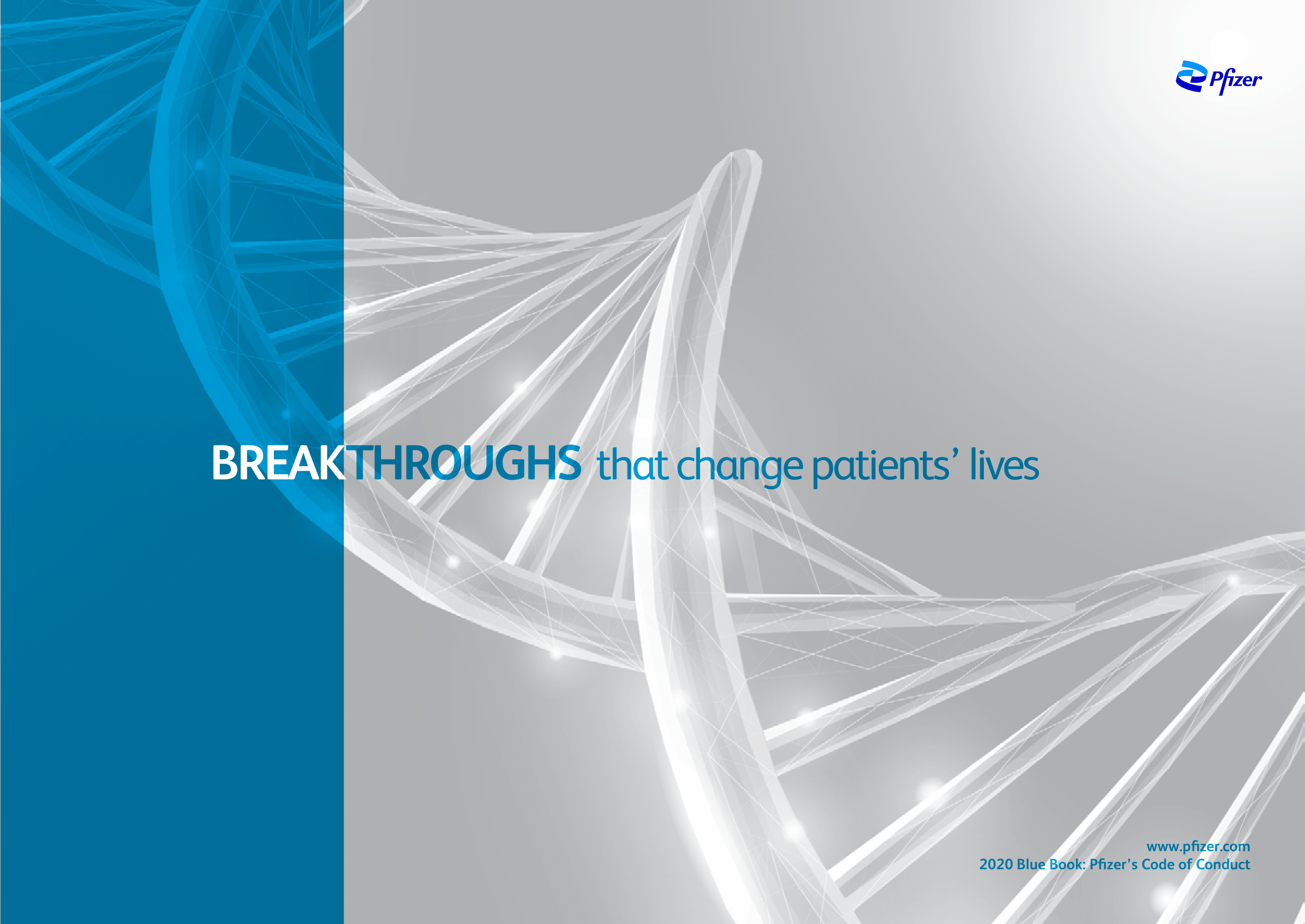 Pfizer Inc. Blue Book Code of Conduct Handbook — page 32