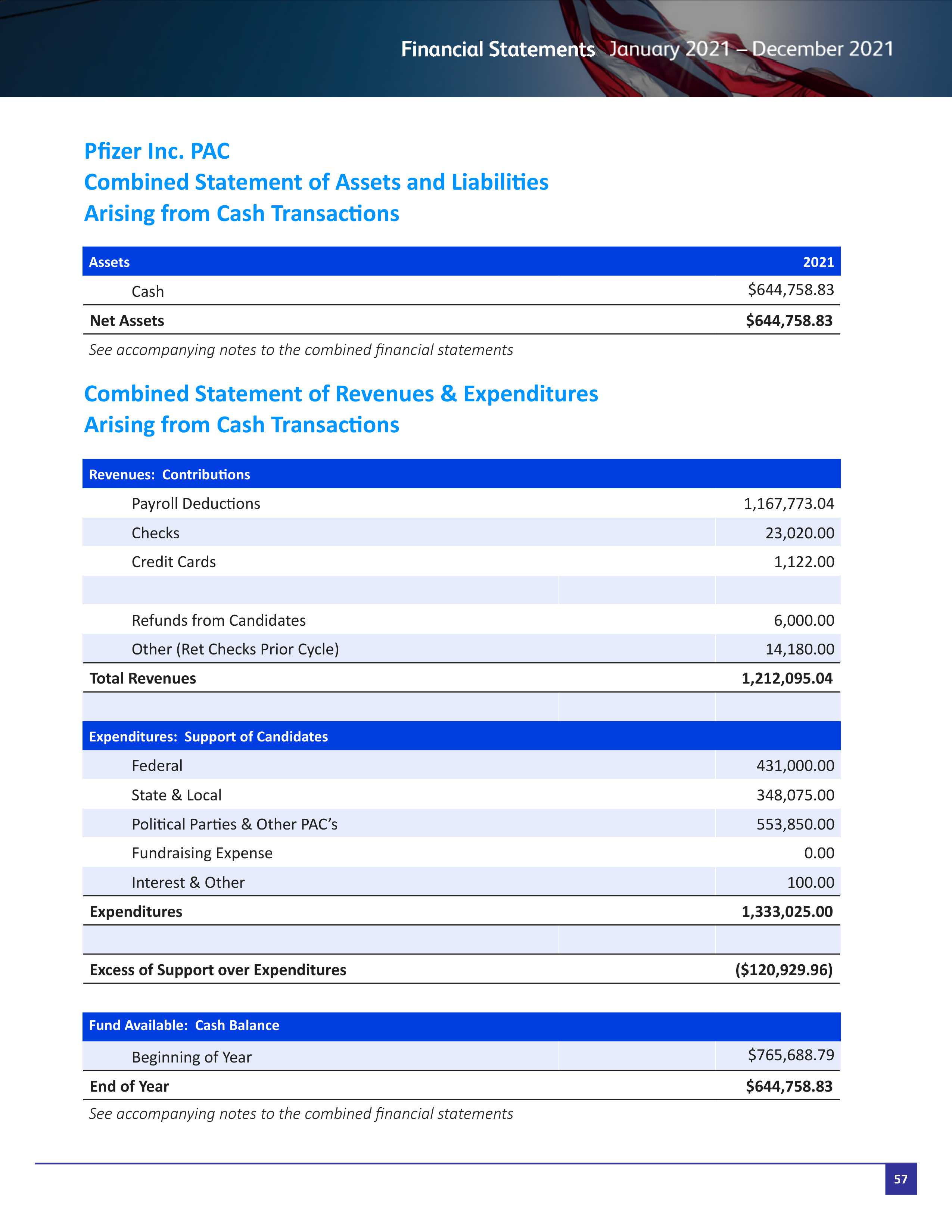 Pfizer Proposal  — page 110