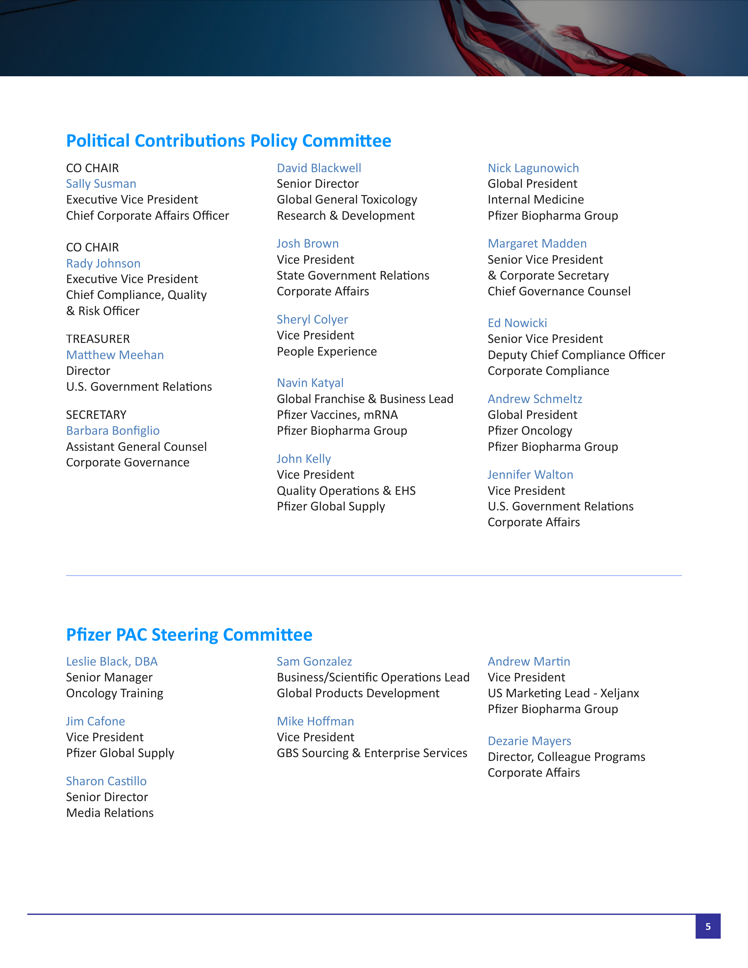 Pfizer Proposal  — page 58