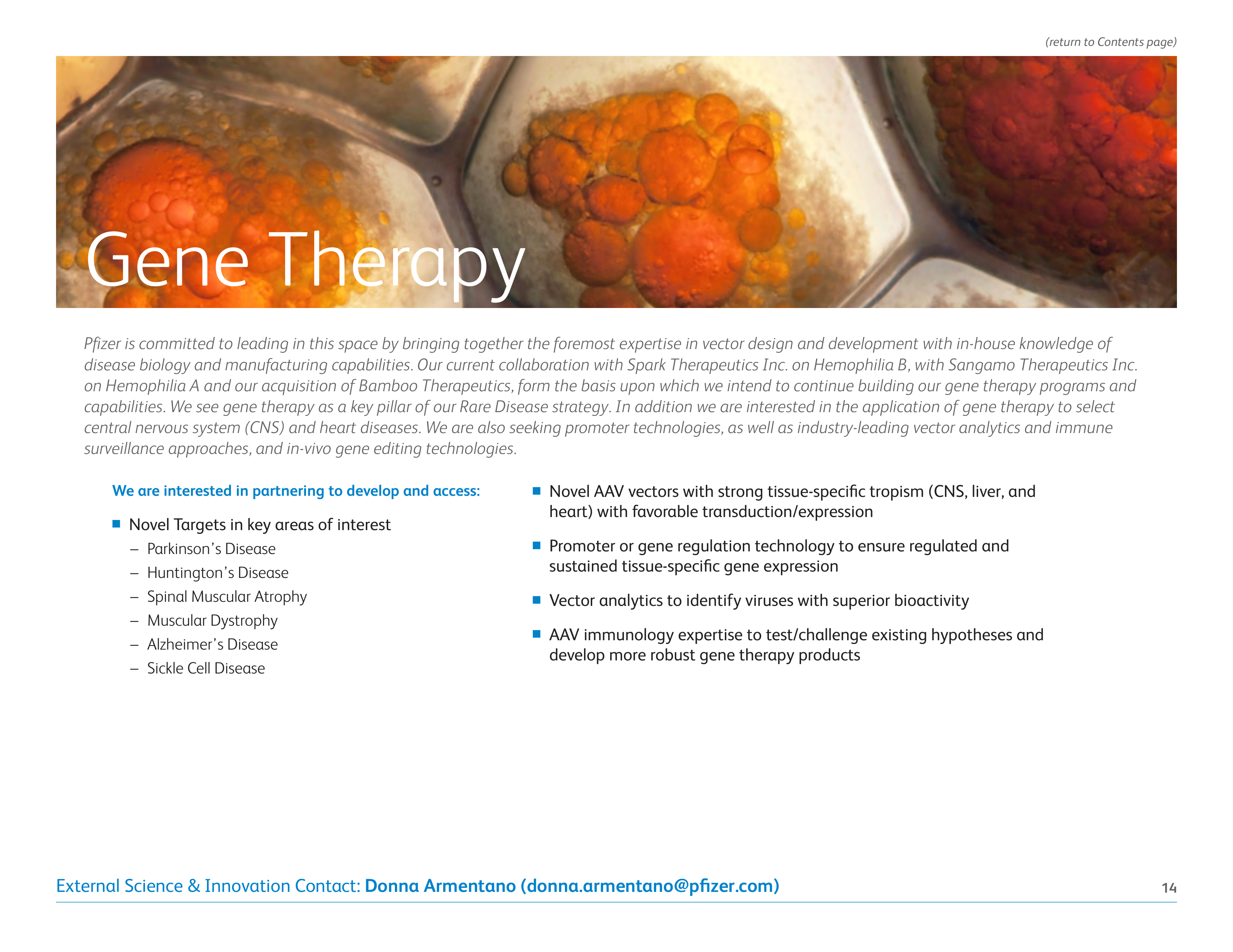 Pfizer Worldwide R&D Brochure — page 17