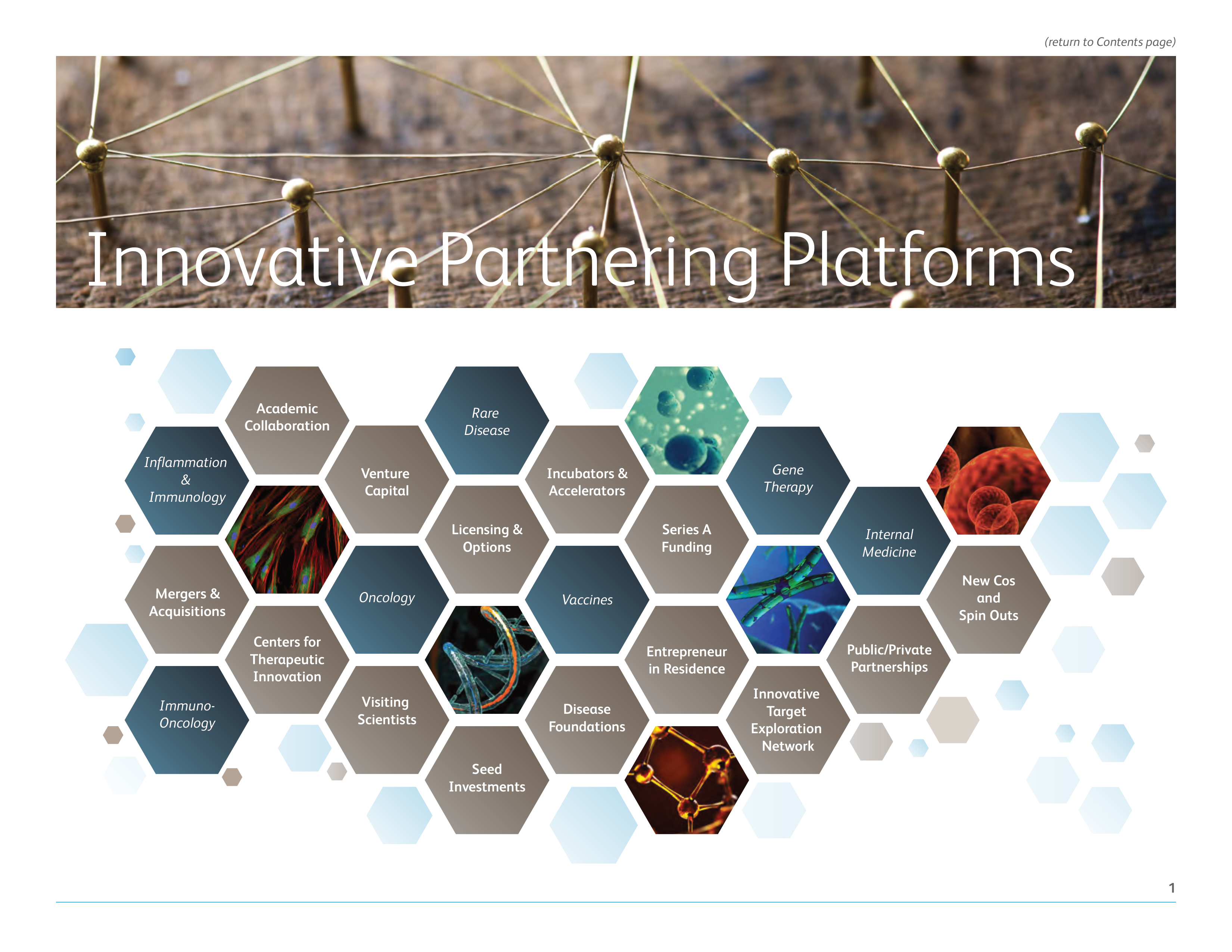Pfizer Worldwide R&D Brochure — page 4