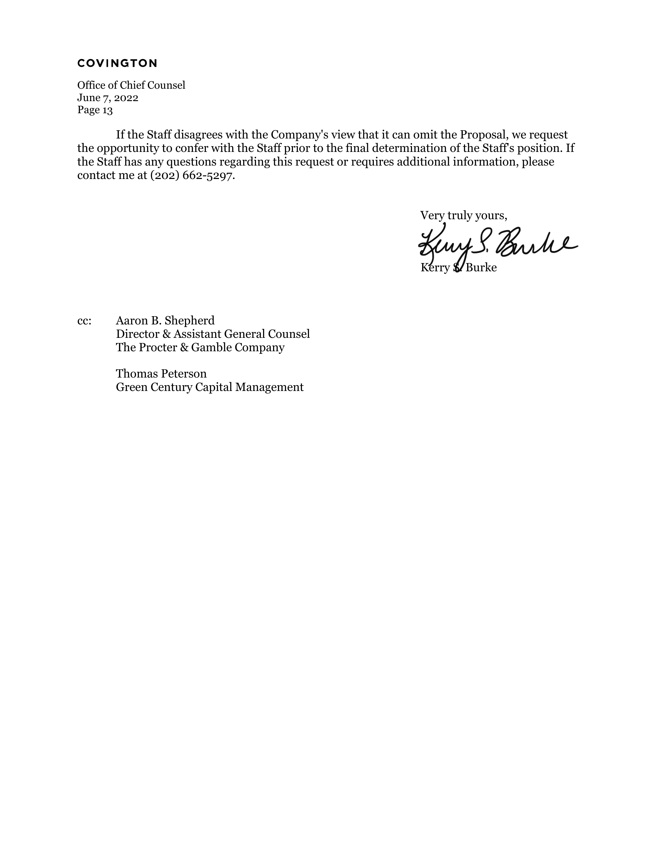 Procter and Gamble Proposal  — page 14