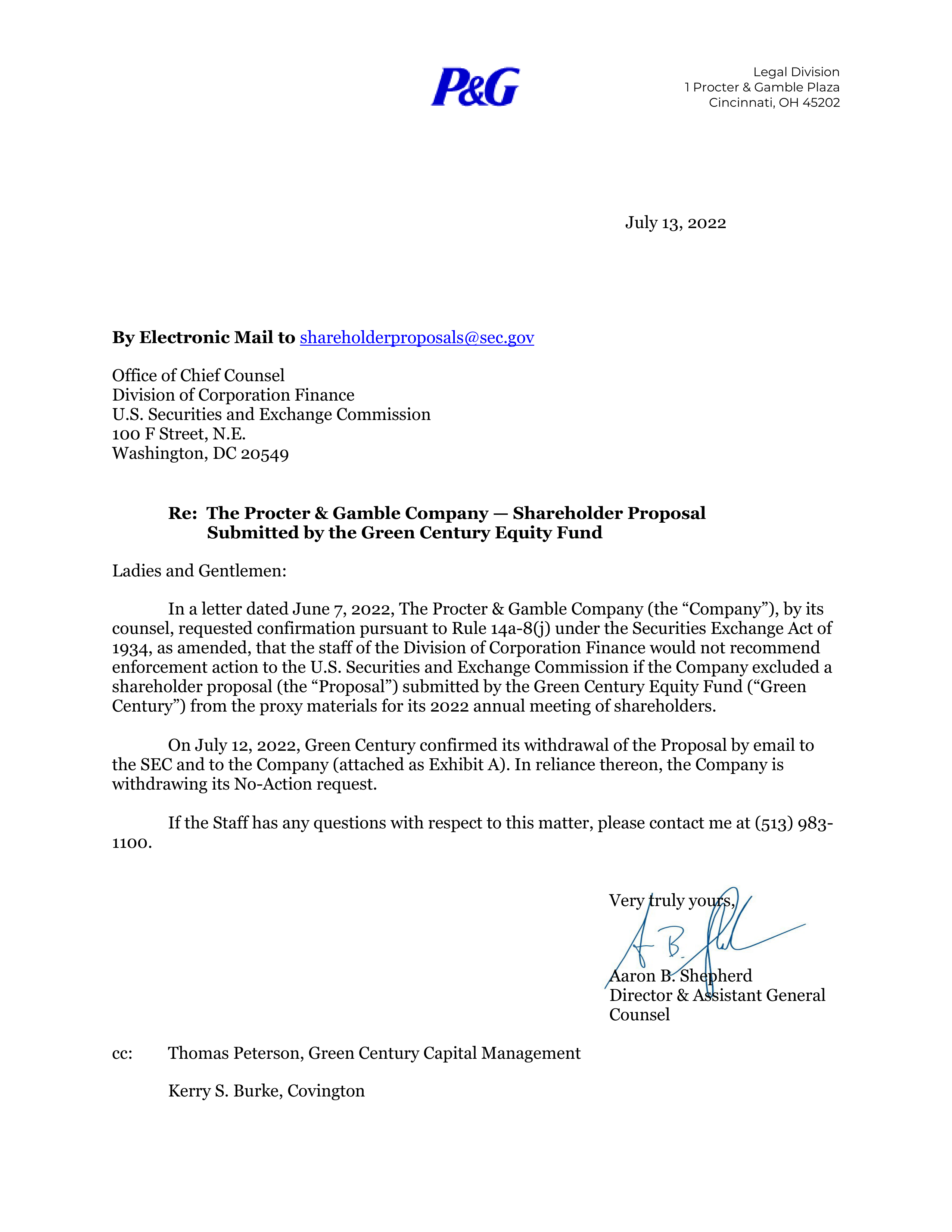 Procter and Gamble Proposal  — page 45