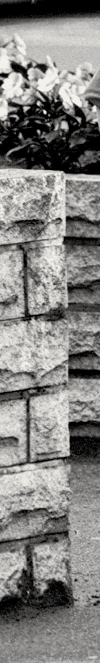 Page 1 Image 8