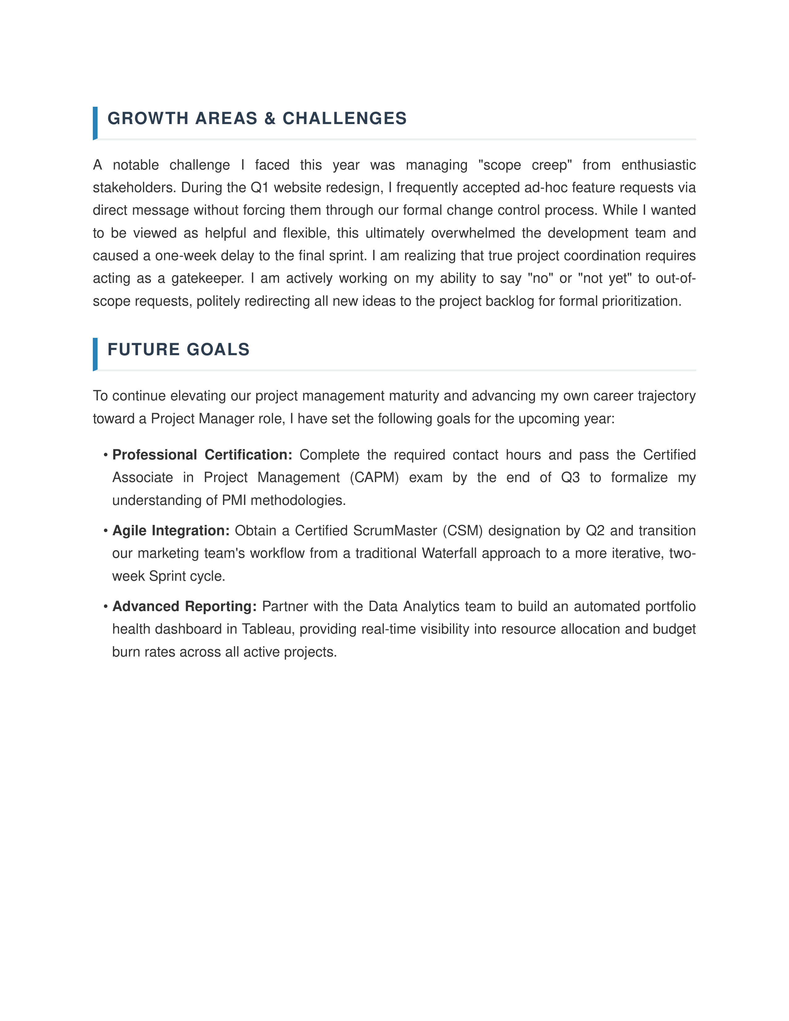 Project Coordinator Self Performance Review — page 2