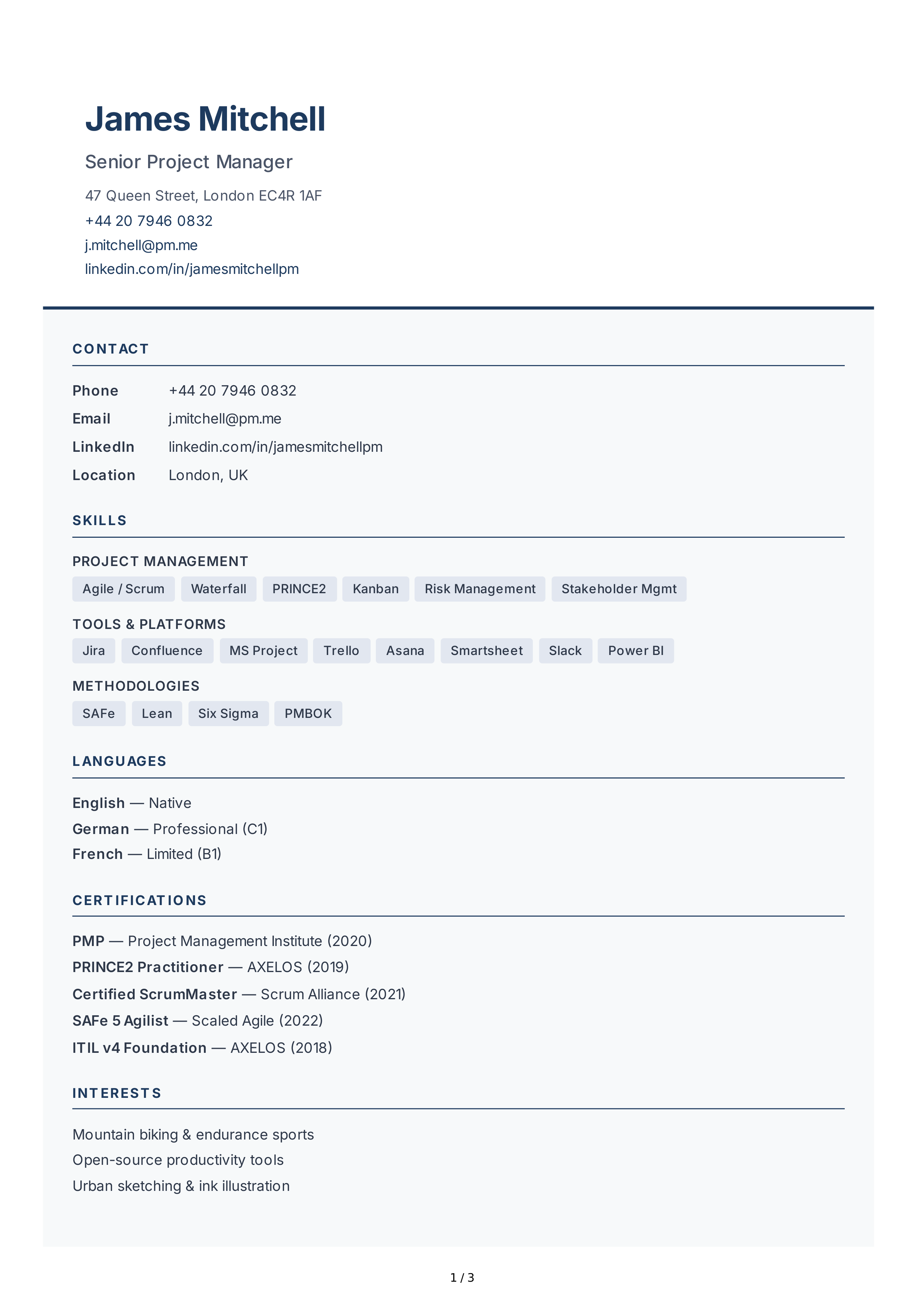 Project Manager CV — page 1