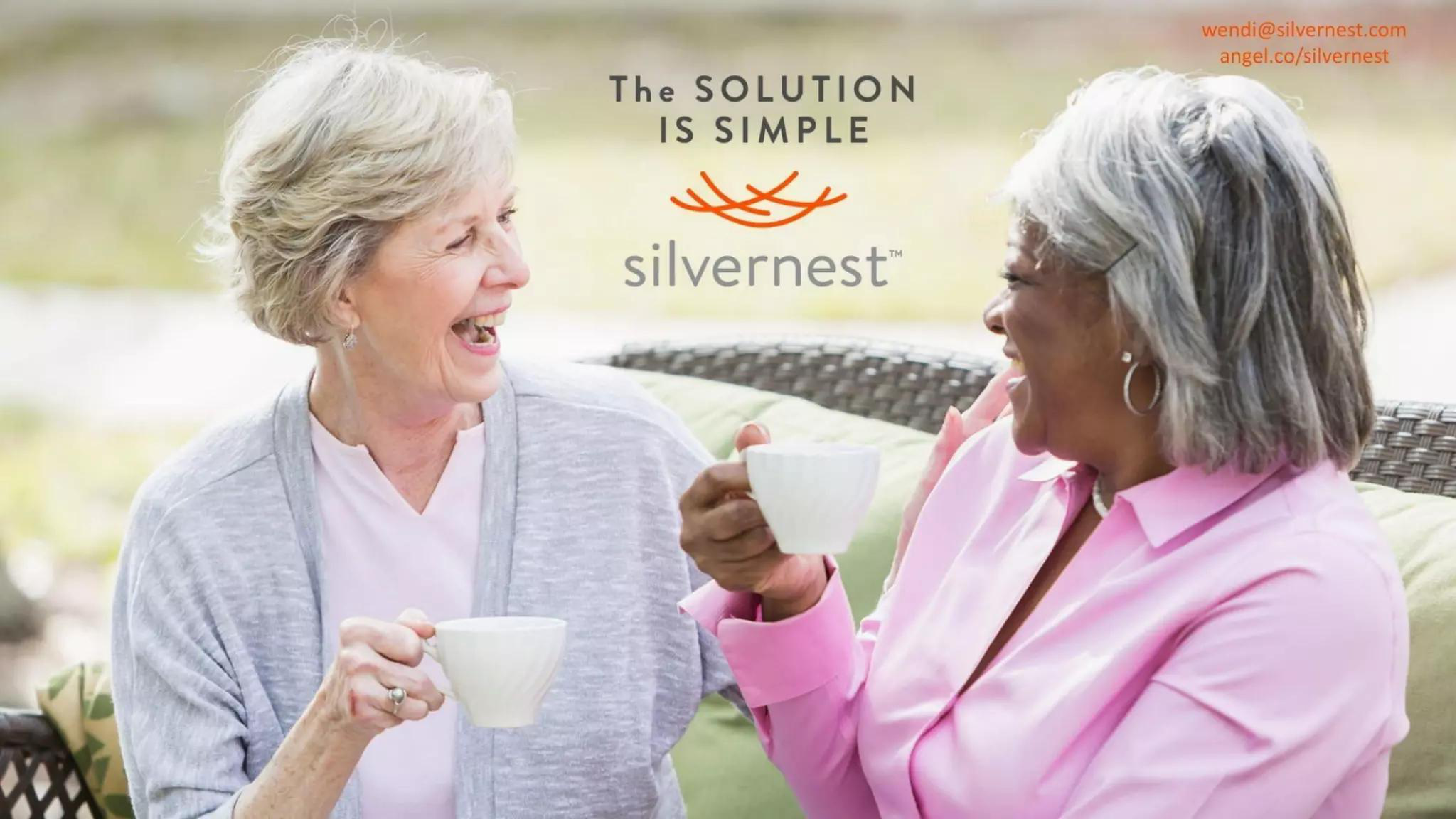 Silvernest Pitch Deck — page 3