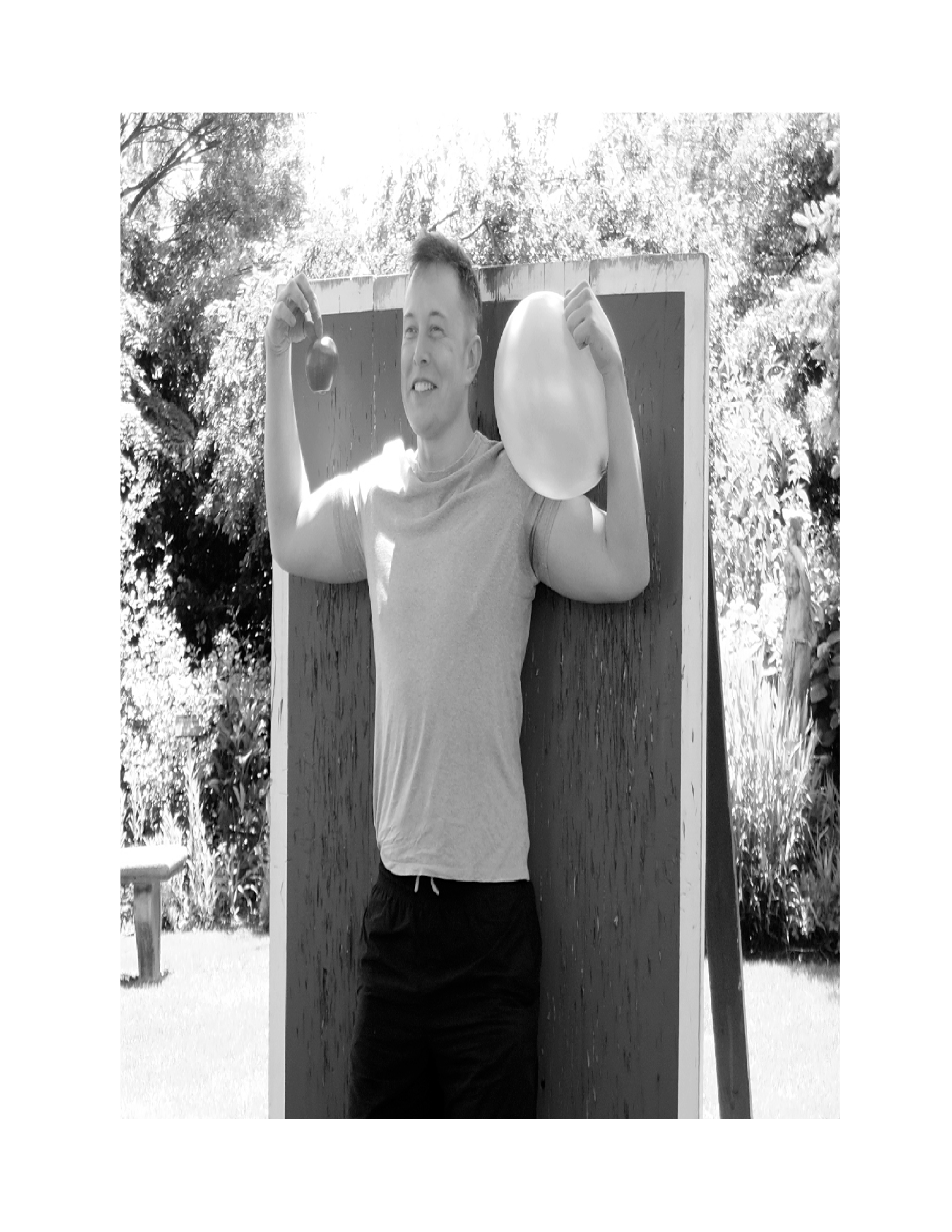 Simon & Schuster Elon Musk Biography by Walter Isaacson — page 232