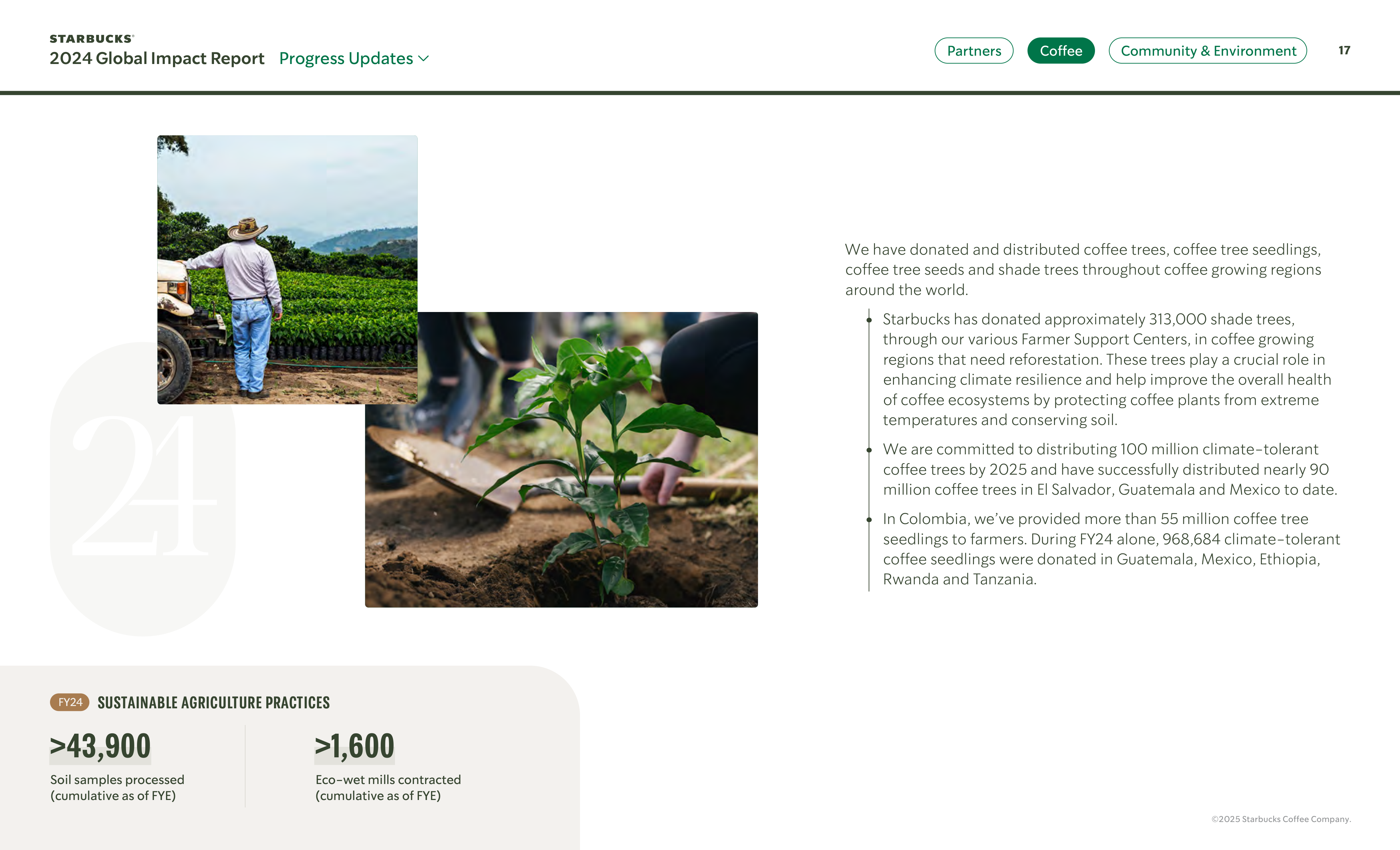 Starbucks Global Impact Report — page 17
