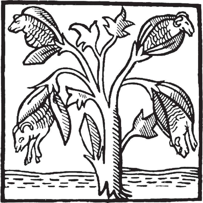 Page 38 Image 1