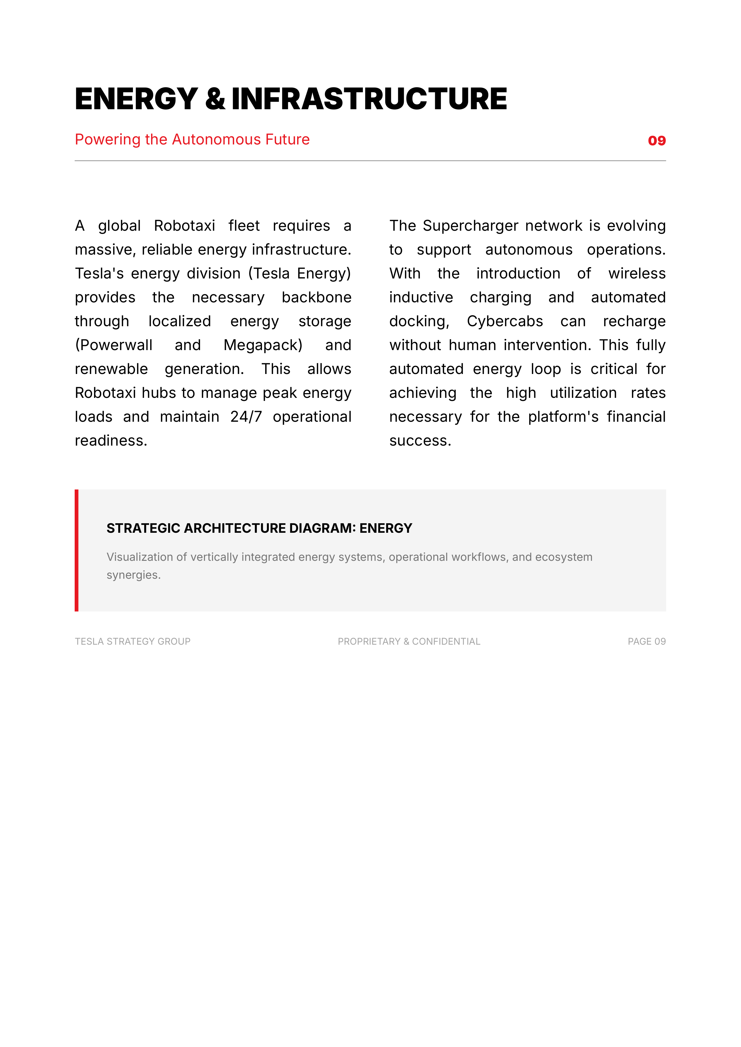 Tesla Robotaxi Mobility & Fleet Network Portfolio — page 10