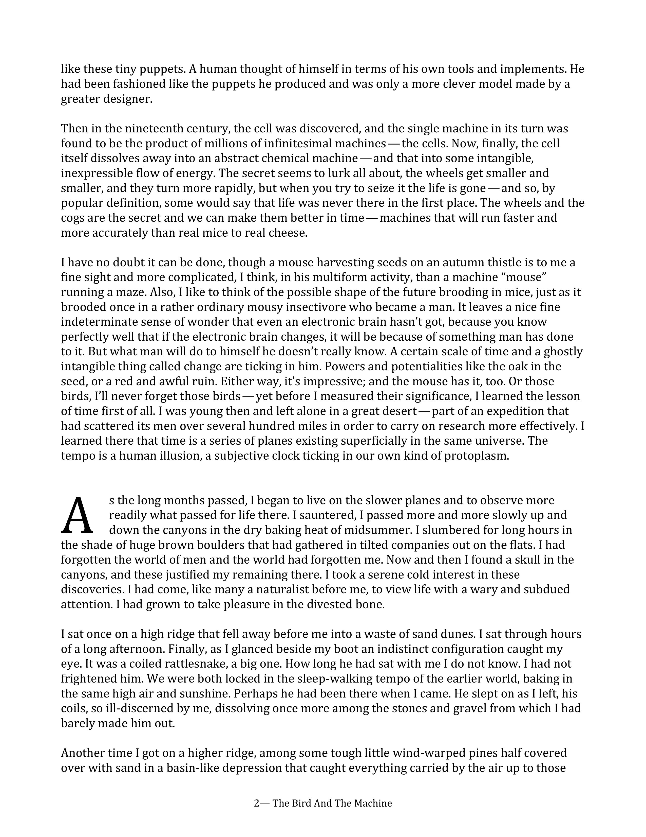 The Bird and the Machine Essay — page 2