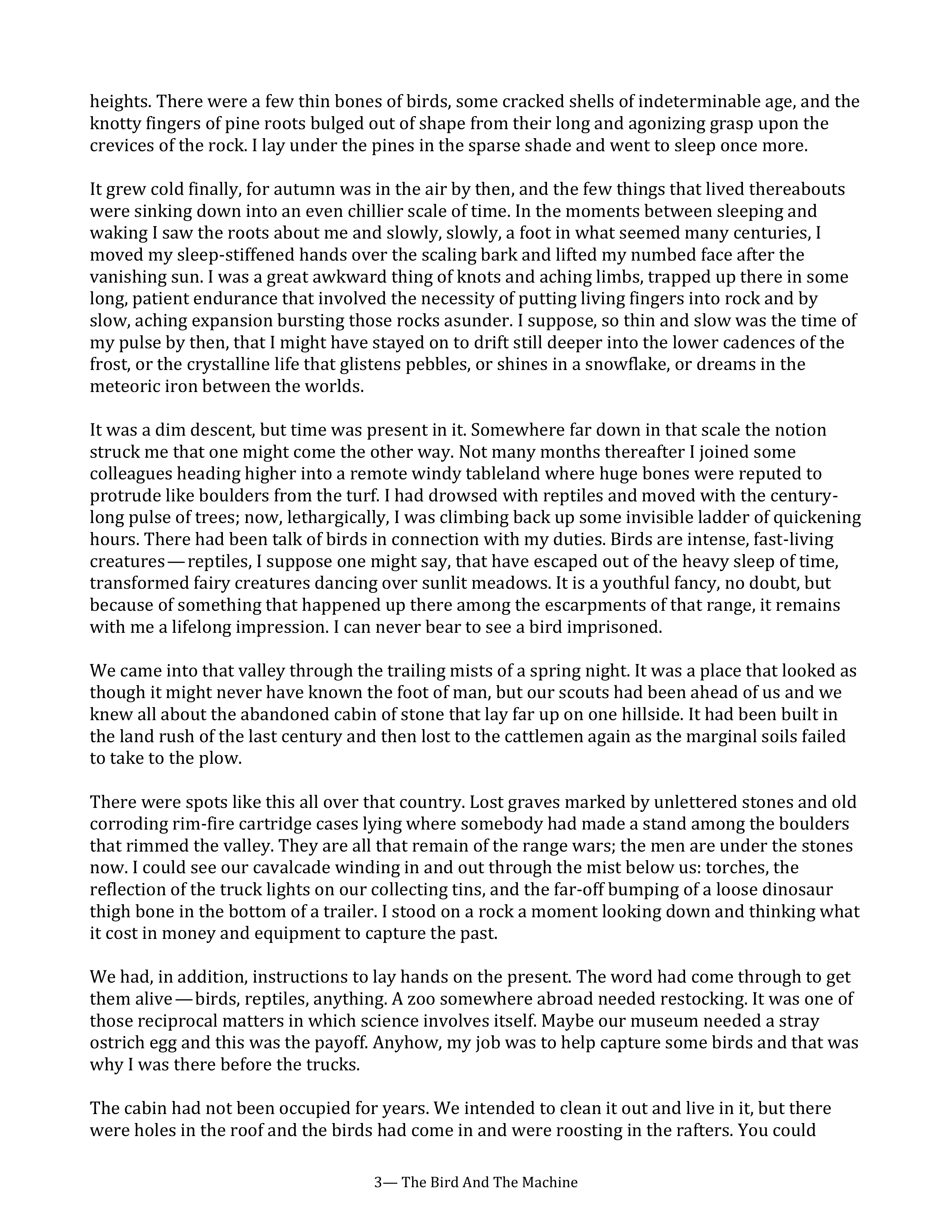 The Bird and the Machine Essay — page 3