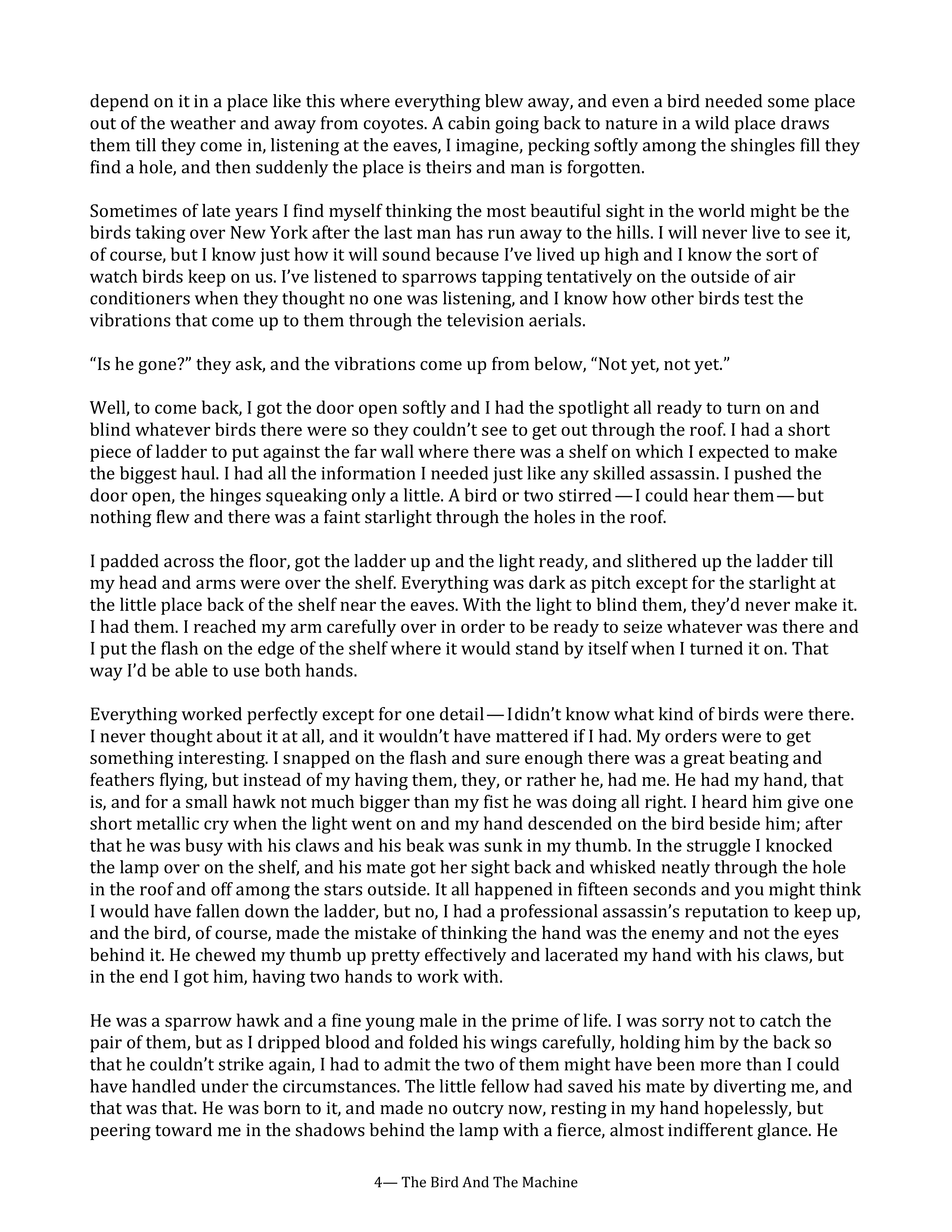 The Bird and the Machine Essay — page 4