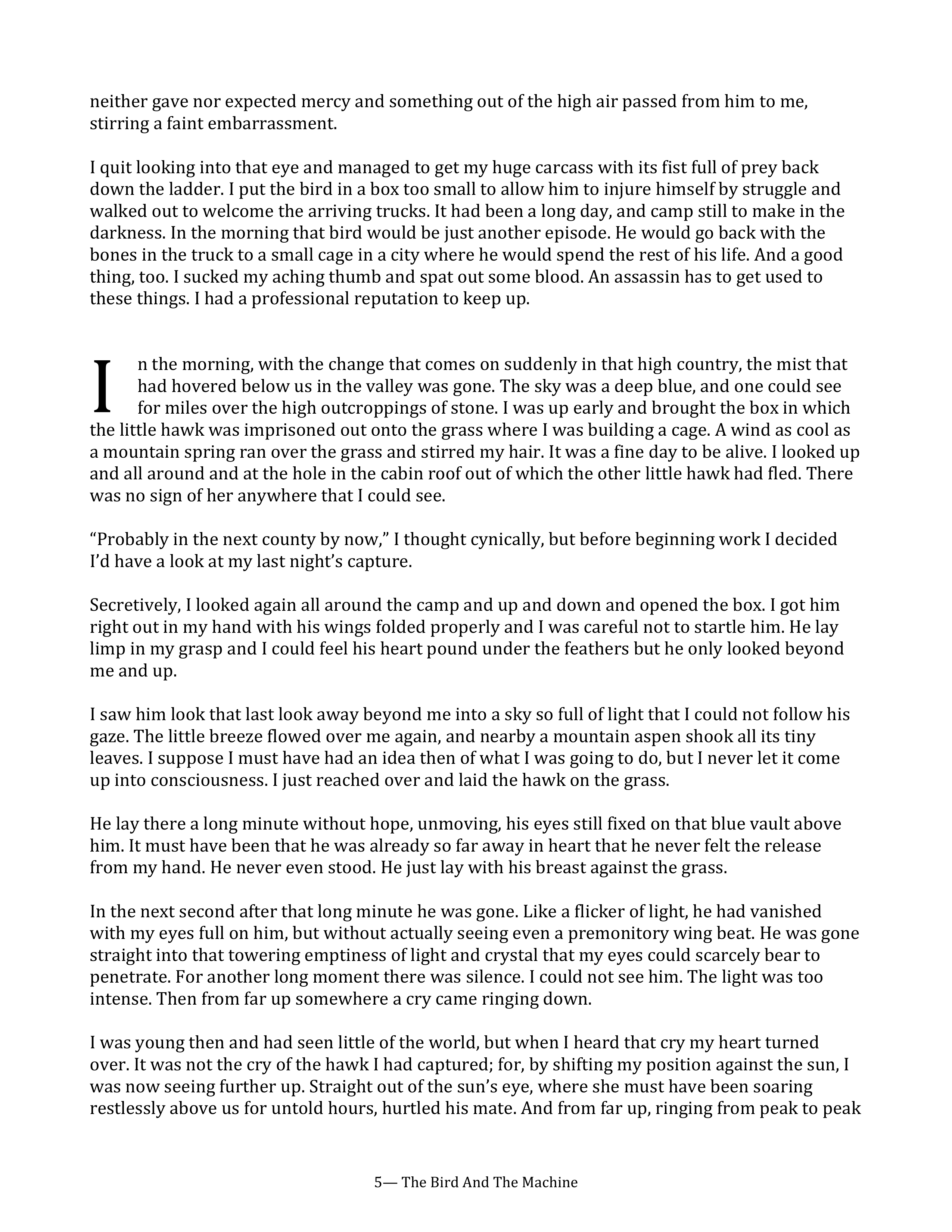 The Bird and the Machine Essay — page 5