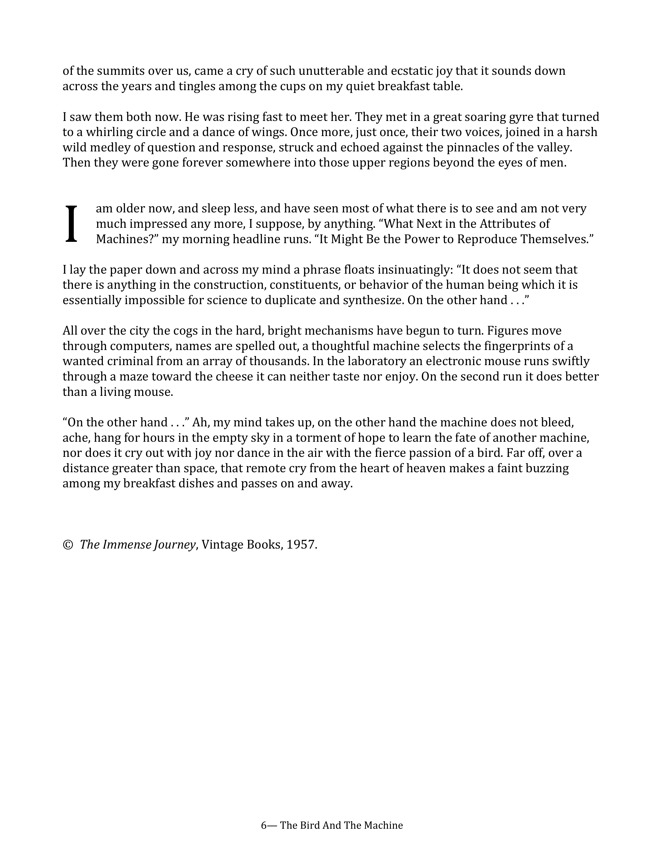The Bird and the Machine Essay — page 6