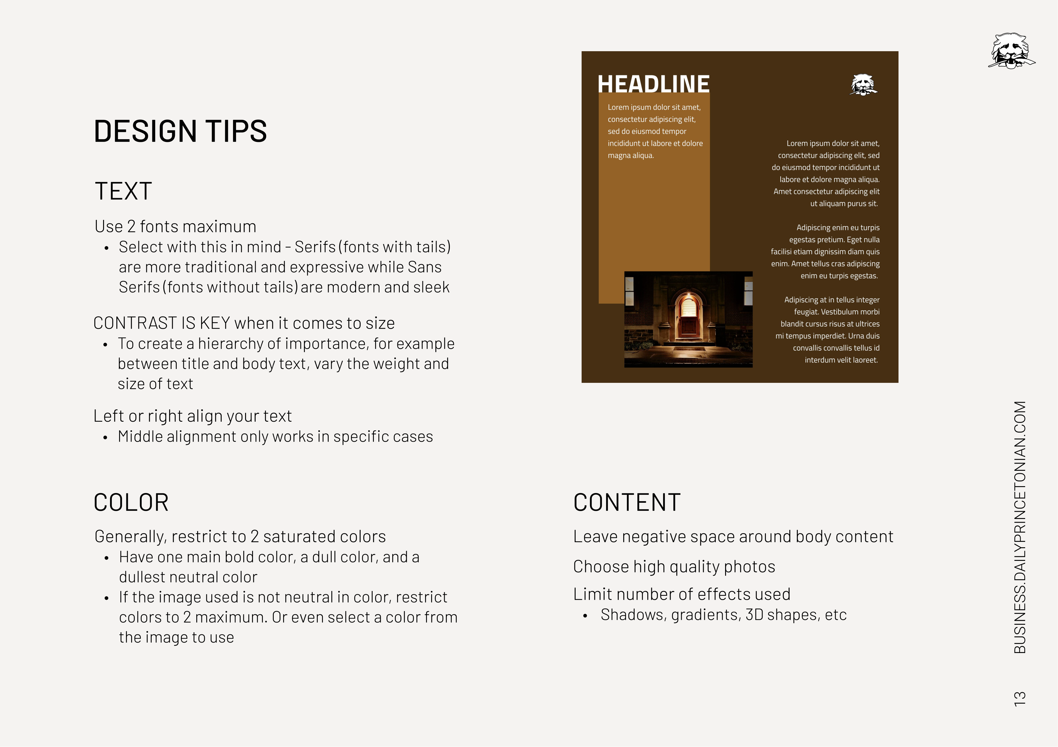 The Daily Princetonian Advertising Media Kit — page 13