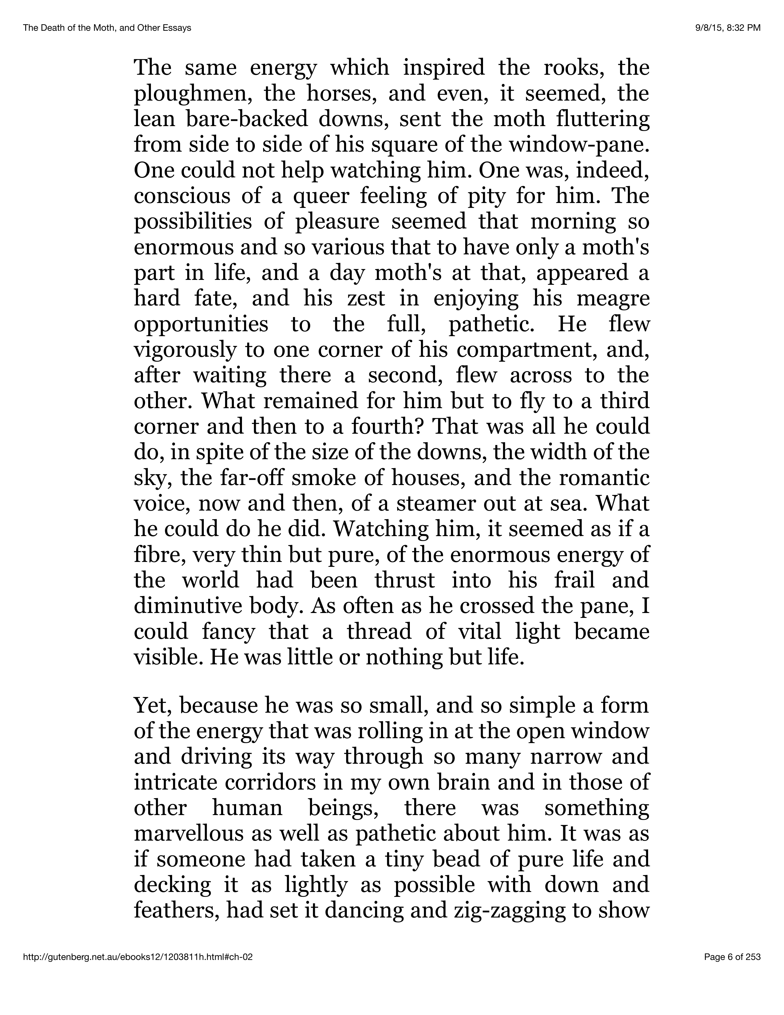 The Death of the Moth Essay — page 4