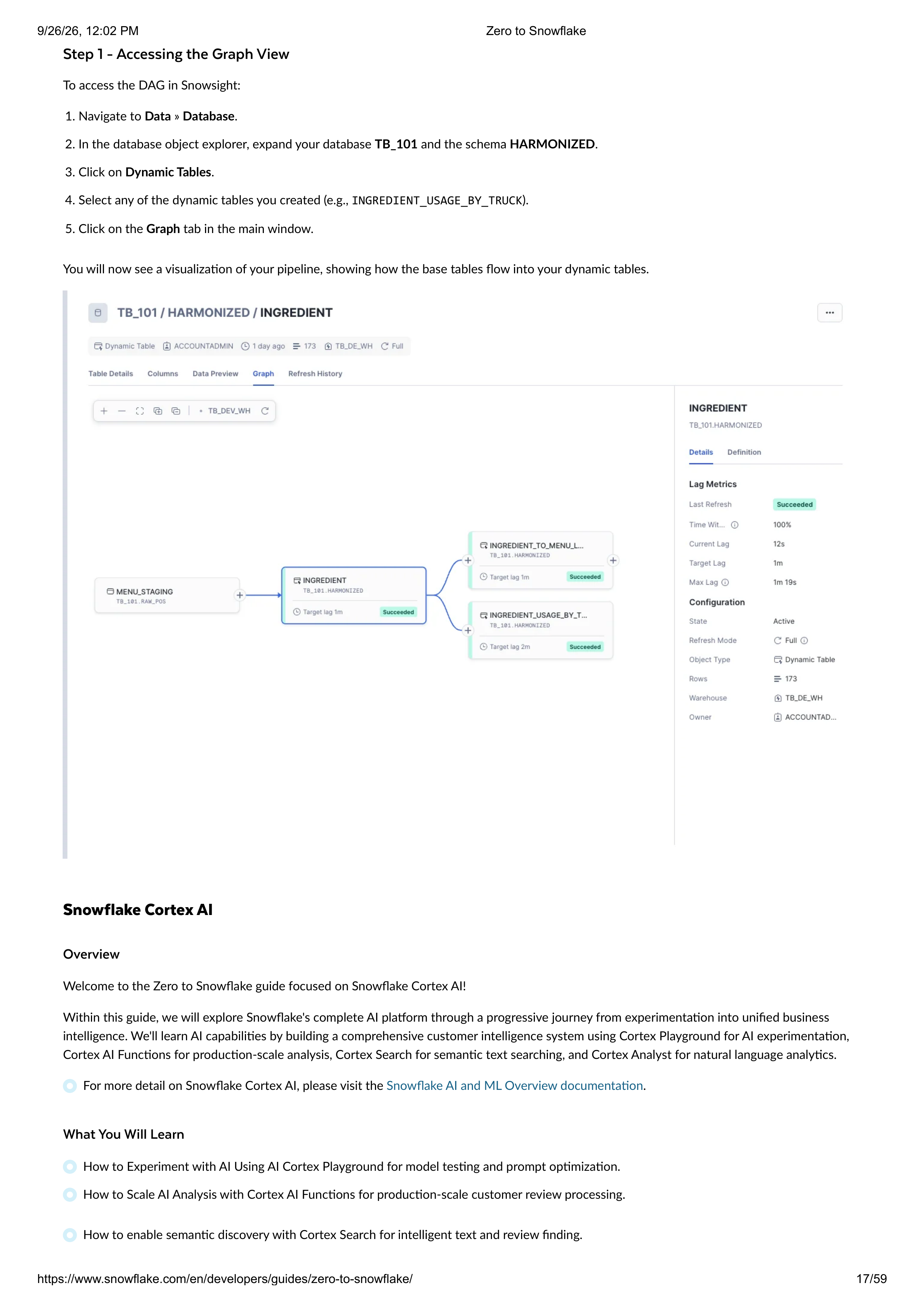 The Zero to Snowflake Quickstart Guide — page 17