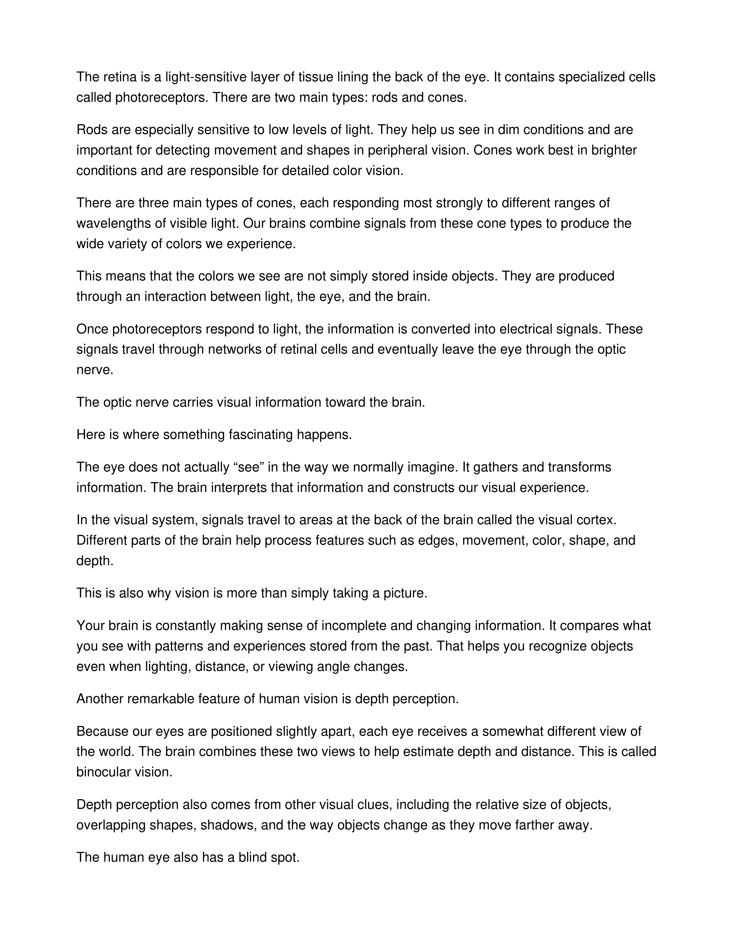 The Human Eye Informative Speech — page 2