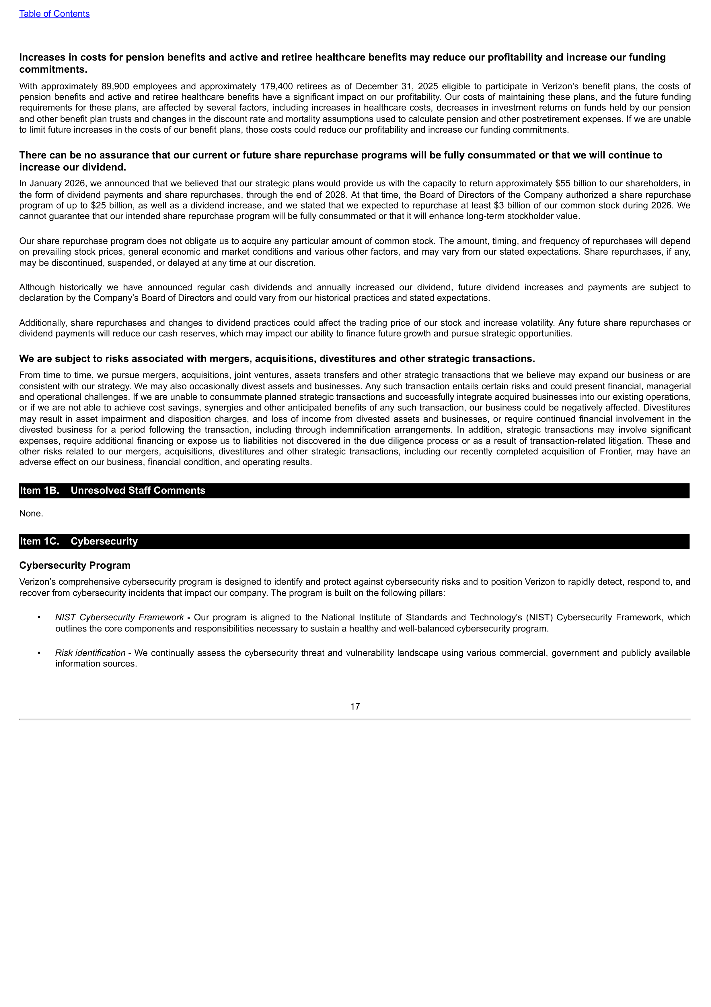 Verizon Annual Report — page 17