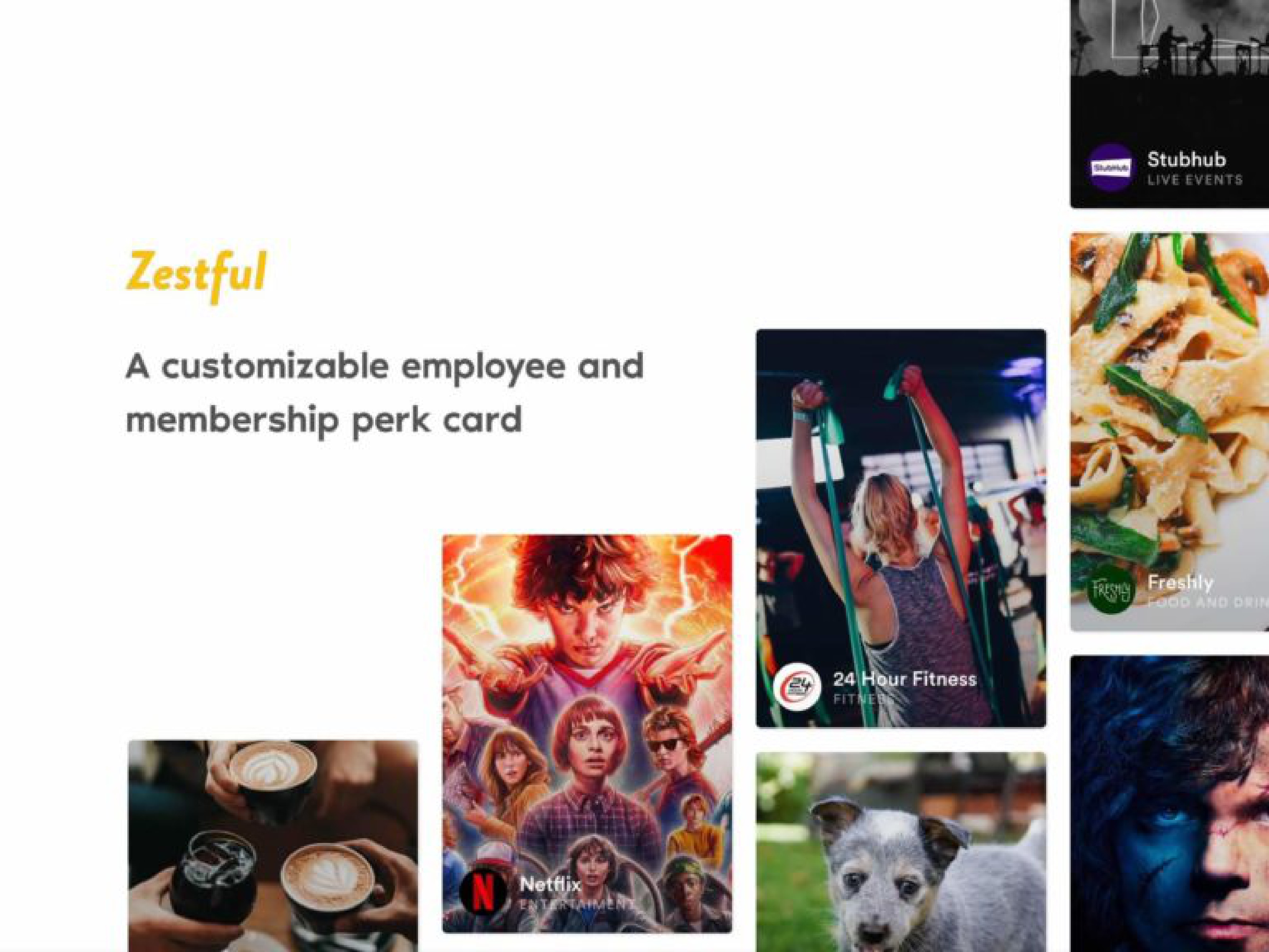Zestful Pitch Deck  — page 1