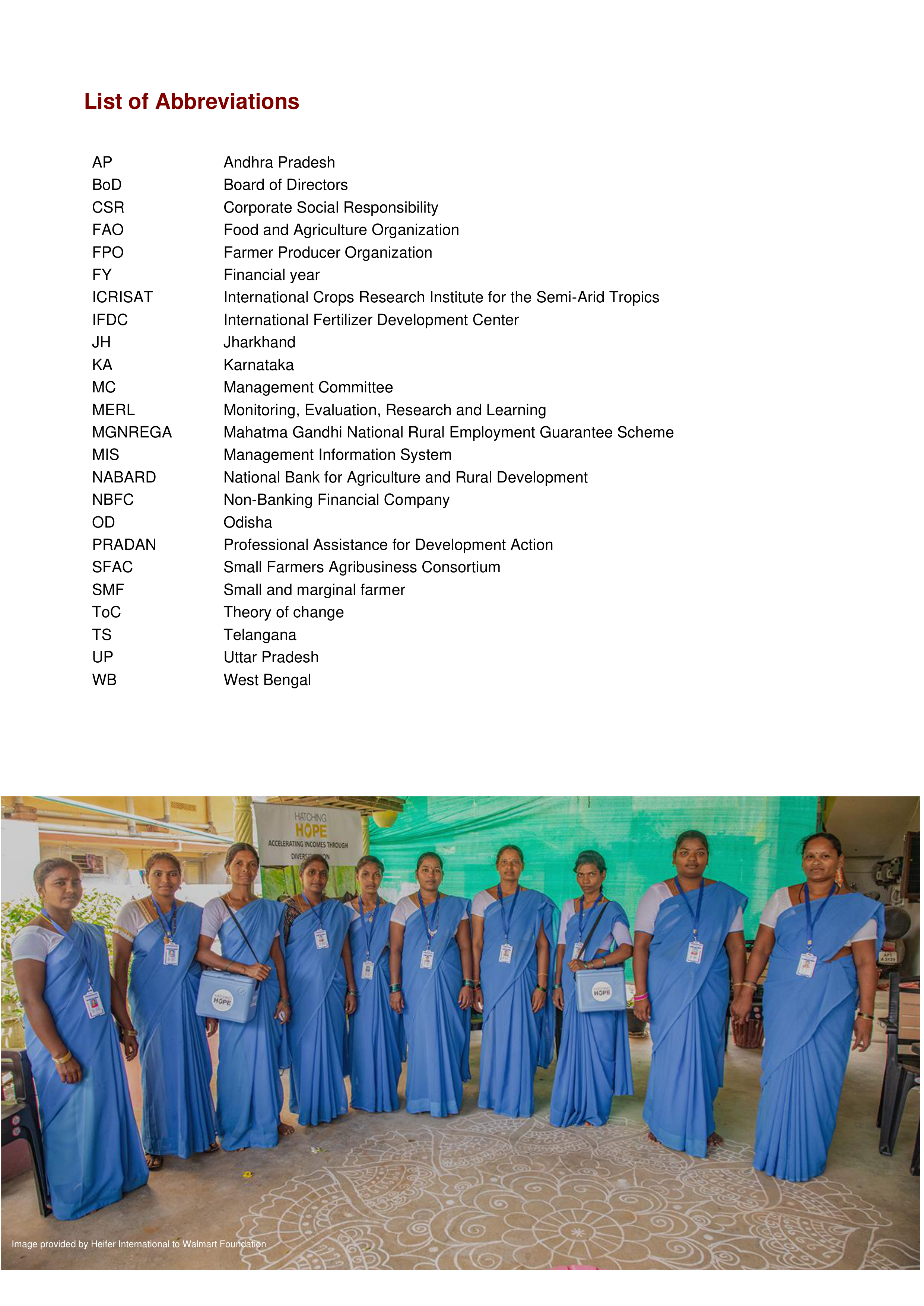 Walmart India Market Access Impact Report — page 5